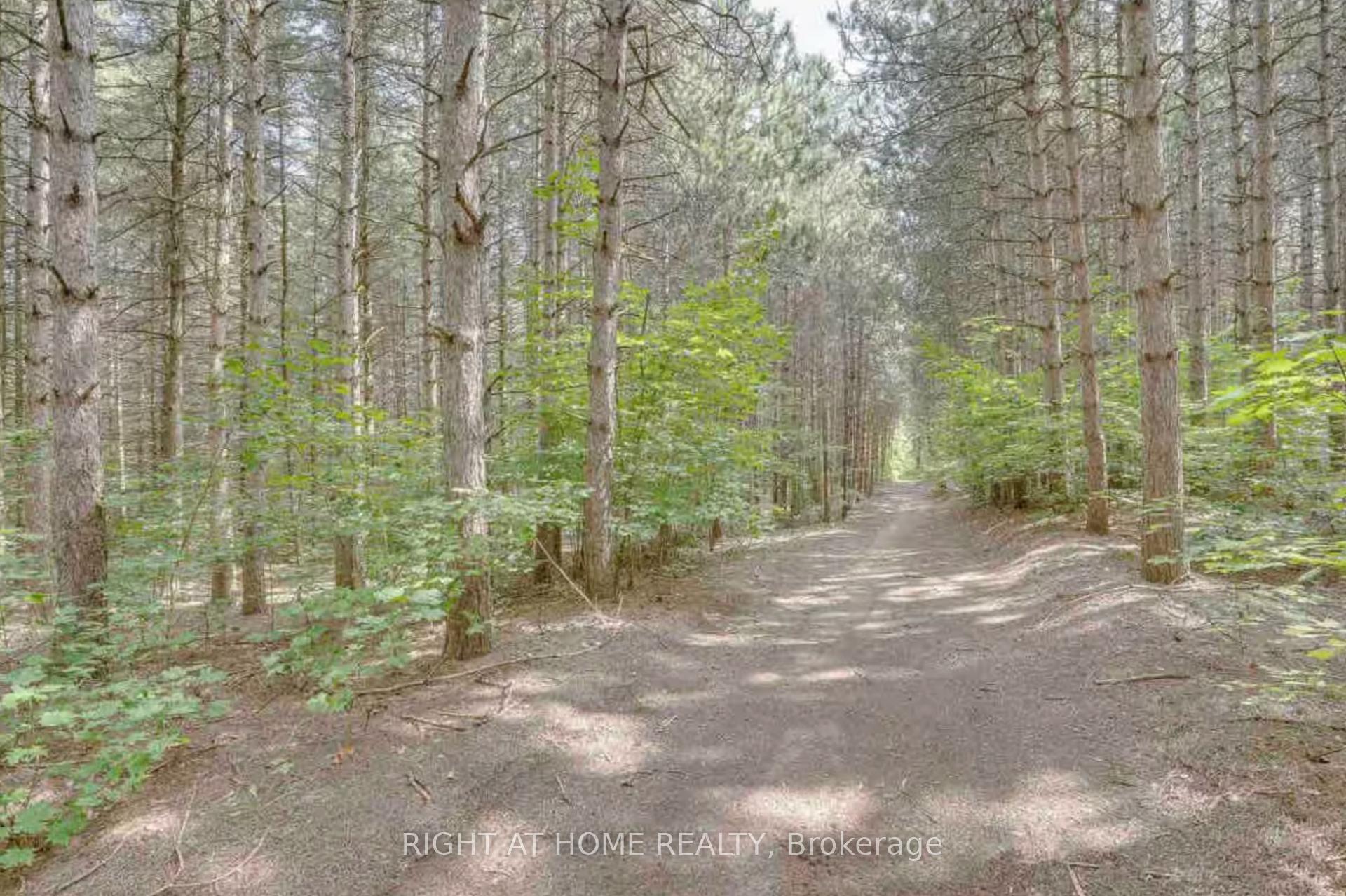 Photo 26 of 938335 Airport Road, Mulmur, Rural Mulmur — HOMEH