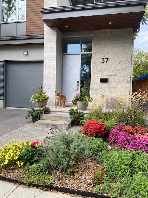 Photo 2 of 37 Ivy Crescent, Ottawa, Lindenlea — HOMEH