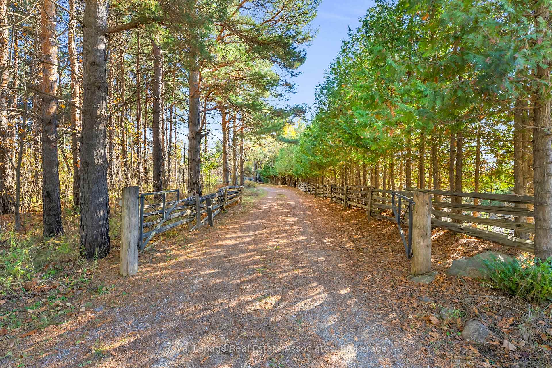 Photo 8 of 758129 2ND Line E, Mulmur, Rural Mulmur — HOMEH