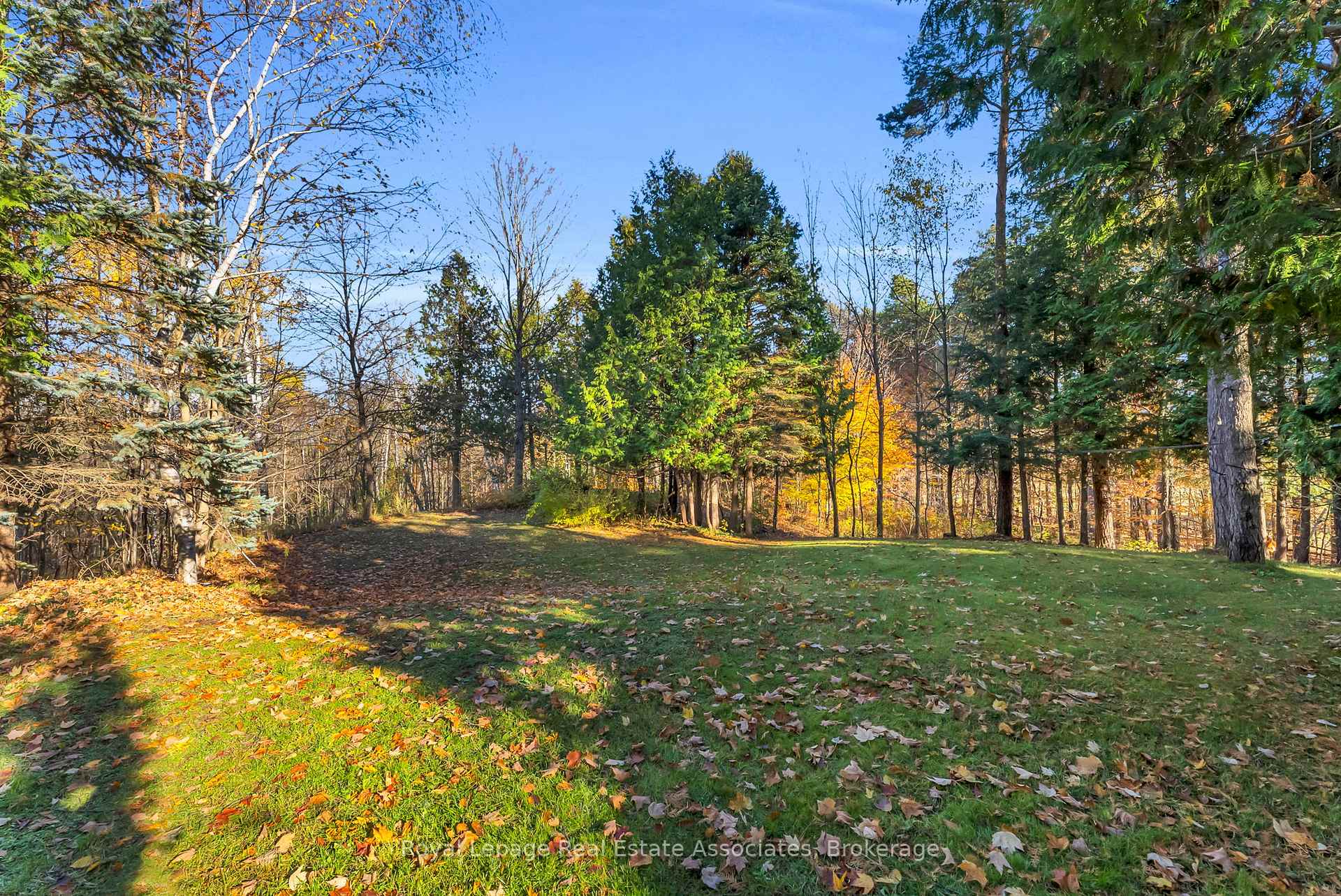 Photo 47 of 758129 2ND Line E, Mulmur, Rural Mulmur — HOMEH