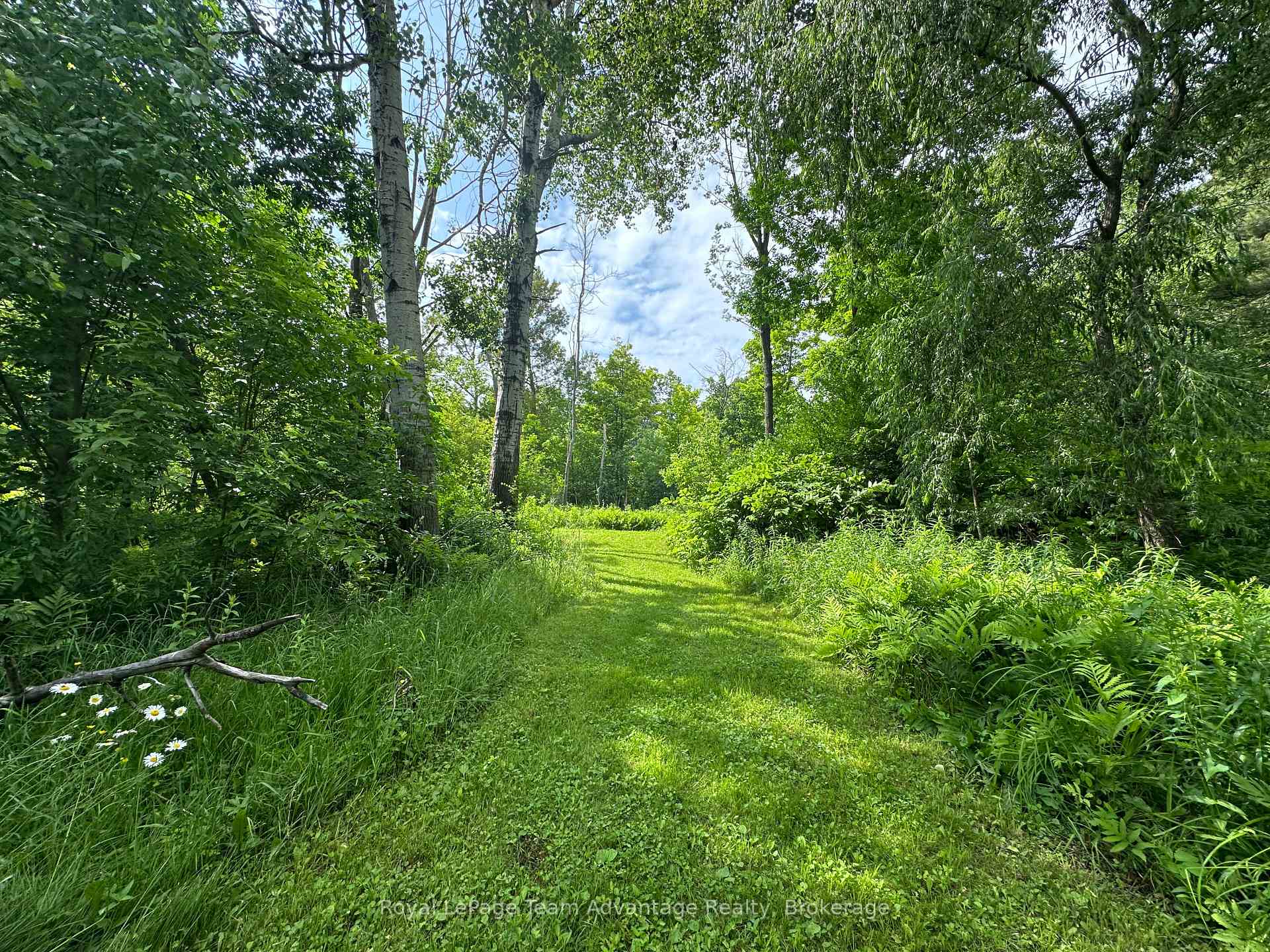 Photo 3 of 66 William Street, Parry Sound — HOMEH