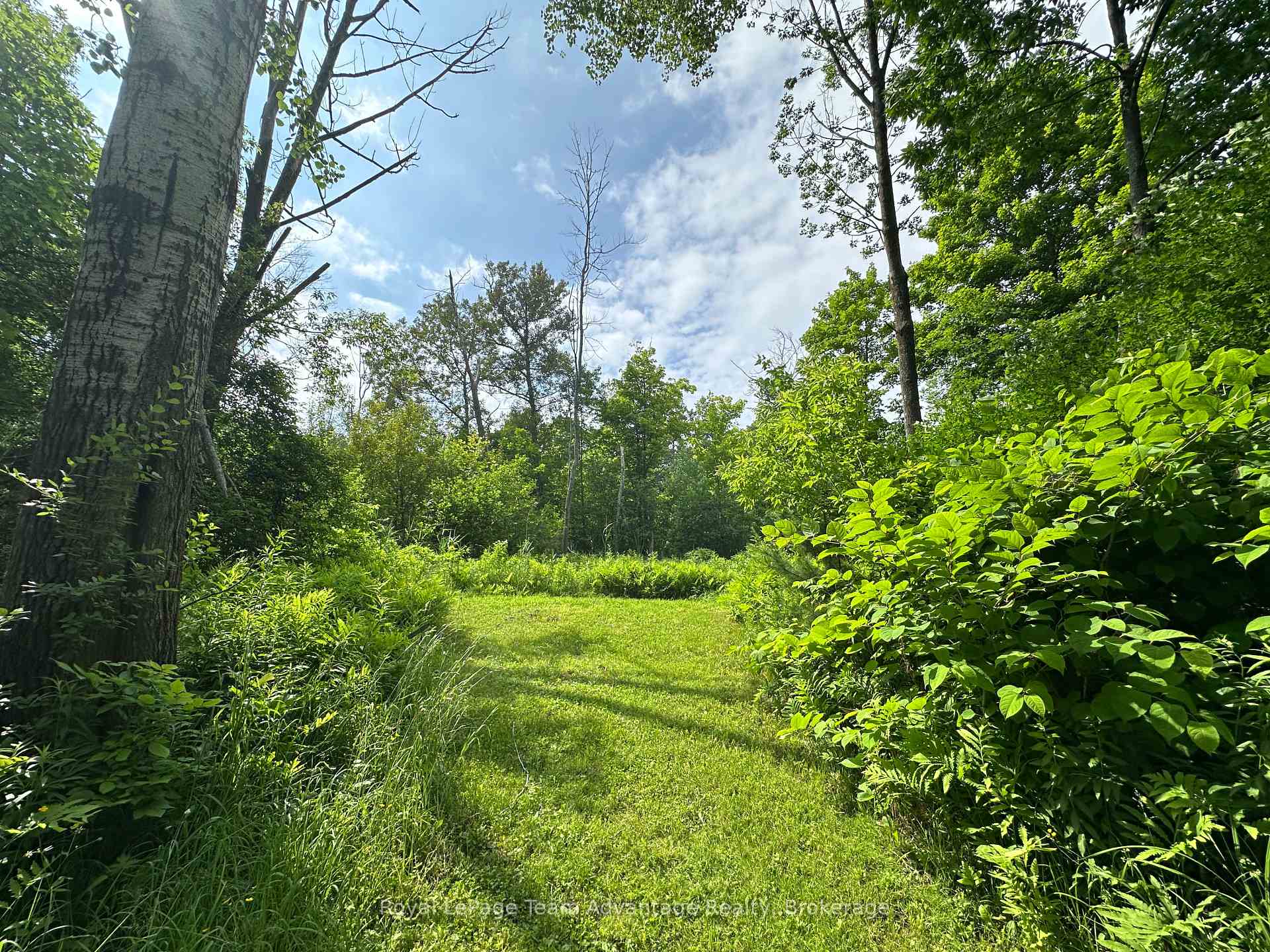 Photo 5 of 66 William Street, Parry Sound — HOMEH