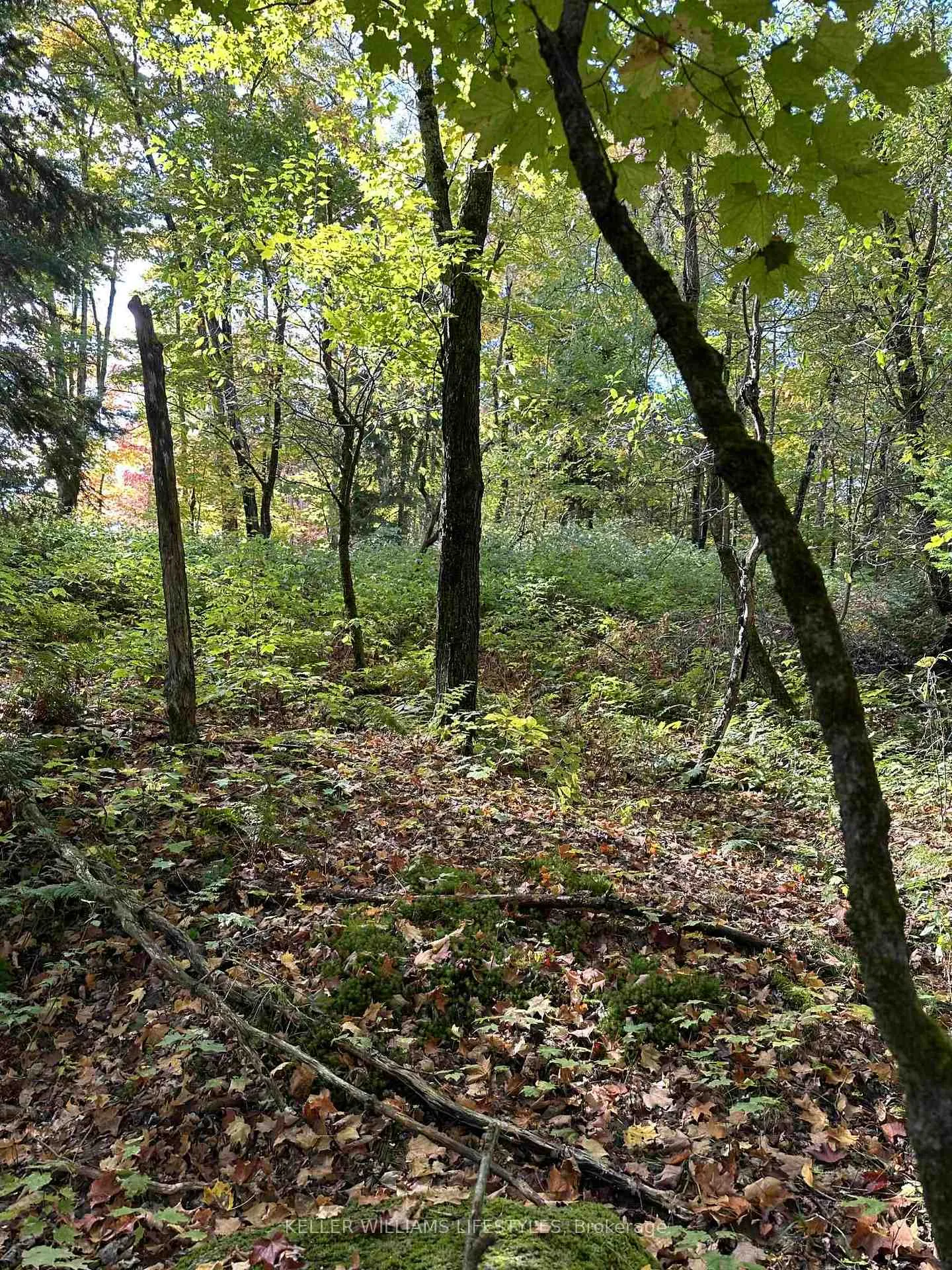 Photo 23 of Cedar Crescent, Nipissing — HOMEH