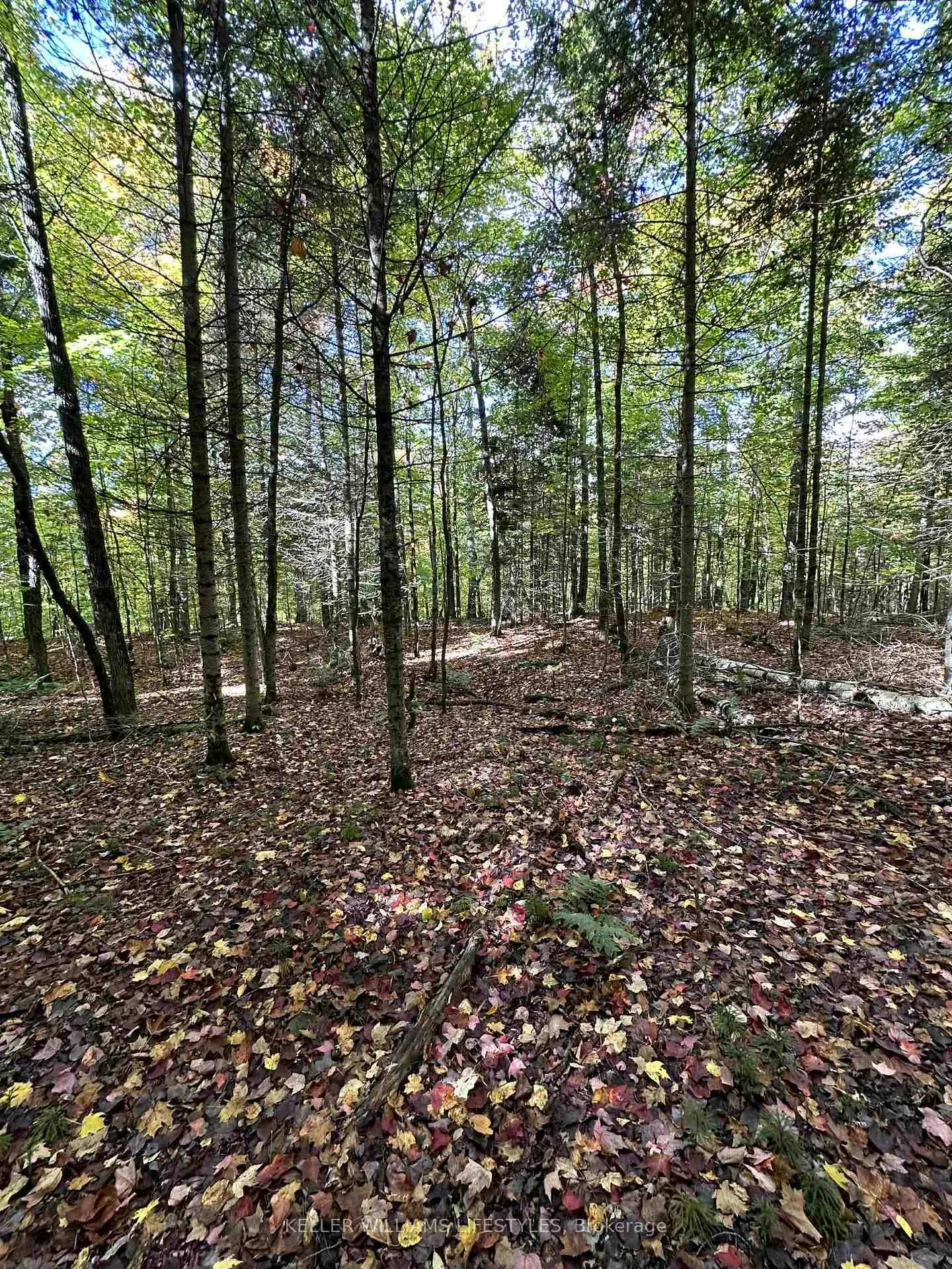 Photo 36 of Cedar Crescent, Nipissing — HOMEH