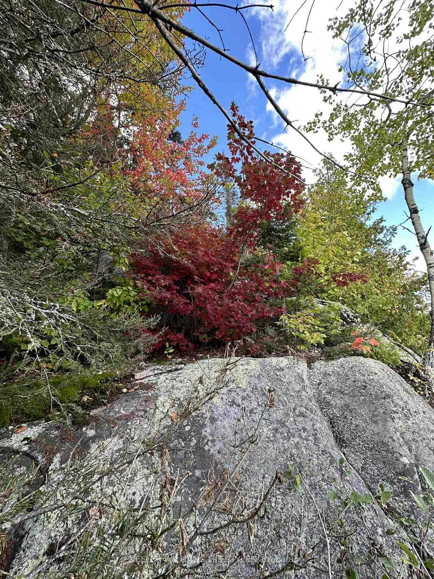 Photo 38 of Cedar Crescent, Nipissing — HOMEH