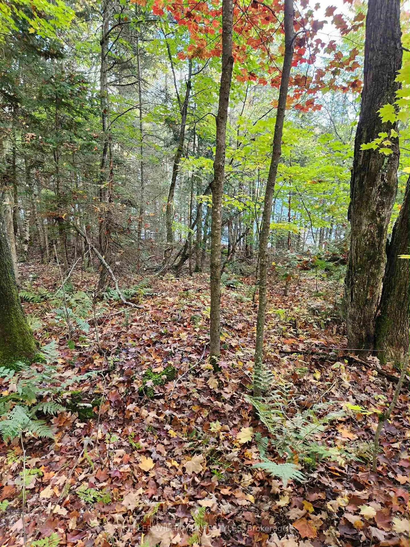 Photo 39 of Cedar Crescent, Nipissing — HOMEH
