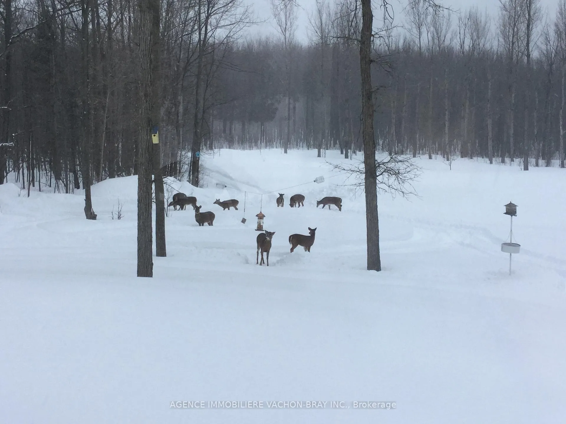 Photo 48 of 18668 Concession 2 Road, North Glengarry, North Glengarry (Kenyon) Twp — HOMEH