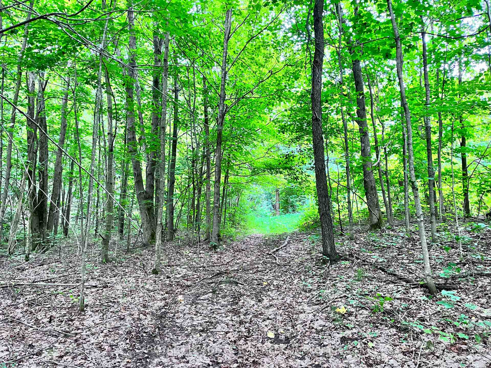 Photo 1 of 3rd Line, Mulmur, Rural Mulmur — HOMEH