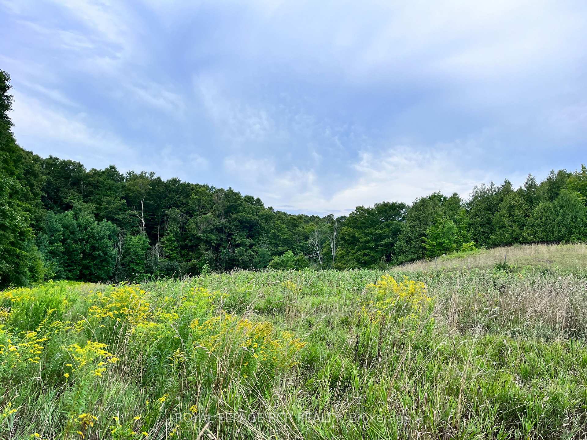Photo 3 of 3rd Line, Mulmur, Rural Mulmur — HOMEH
