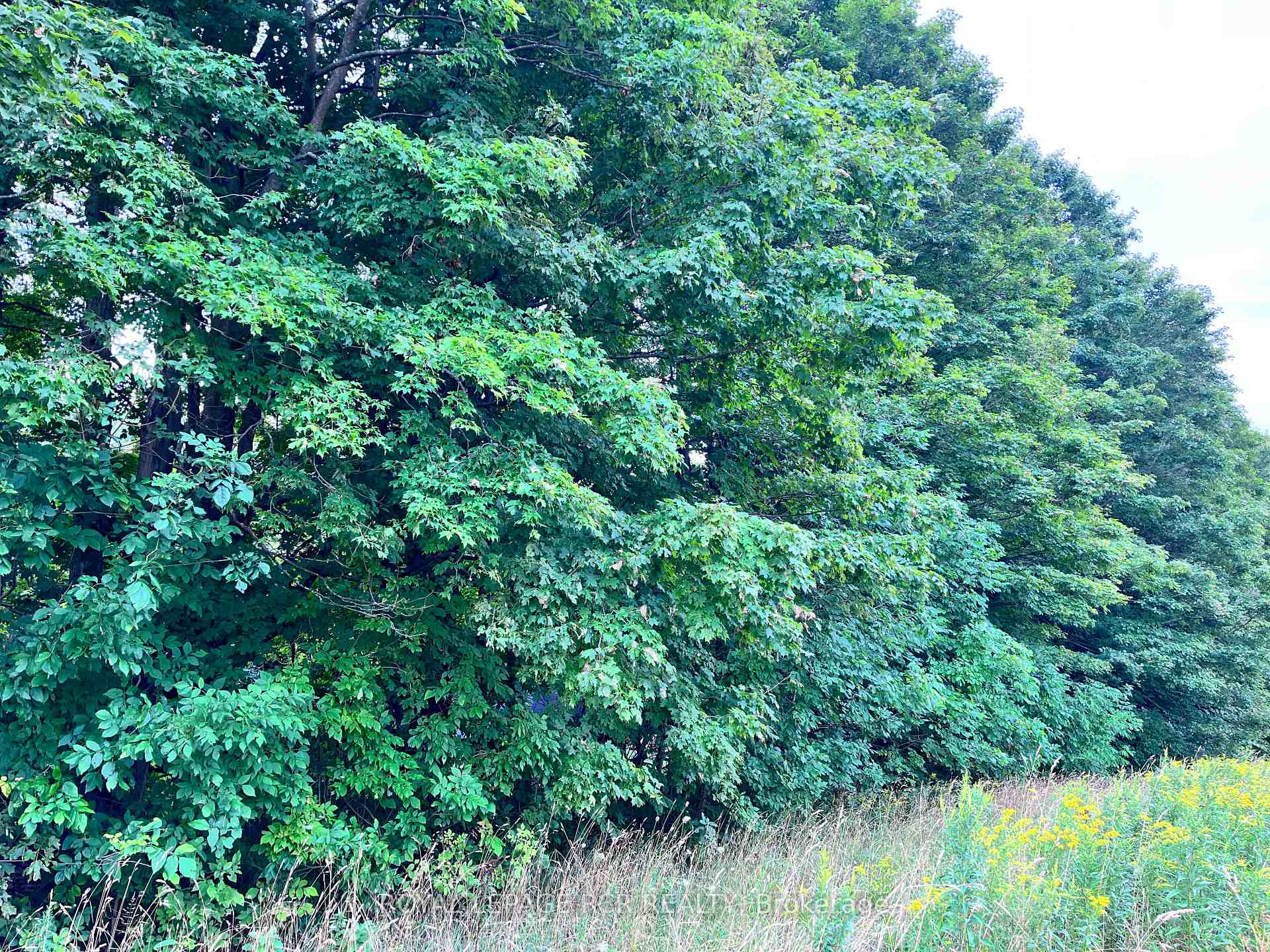 Photo 4 of 3rd Line, Mulmur, Rural Mulmur — HOMEH