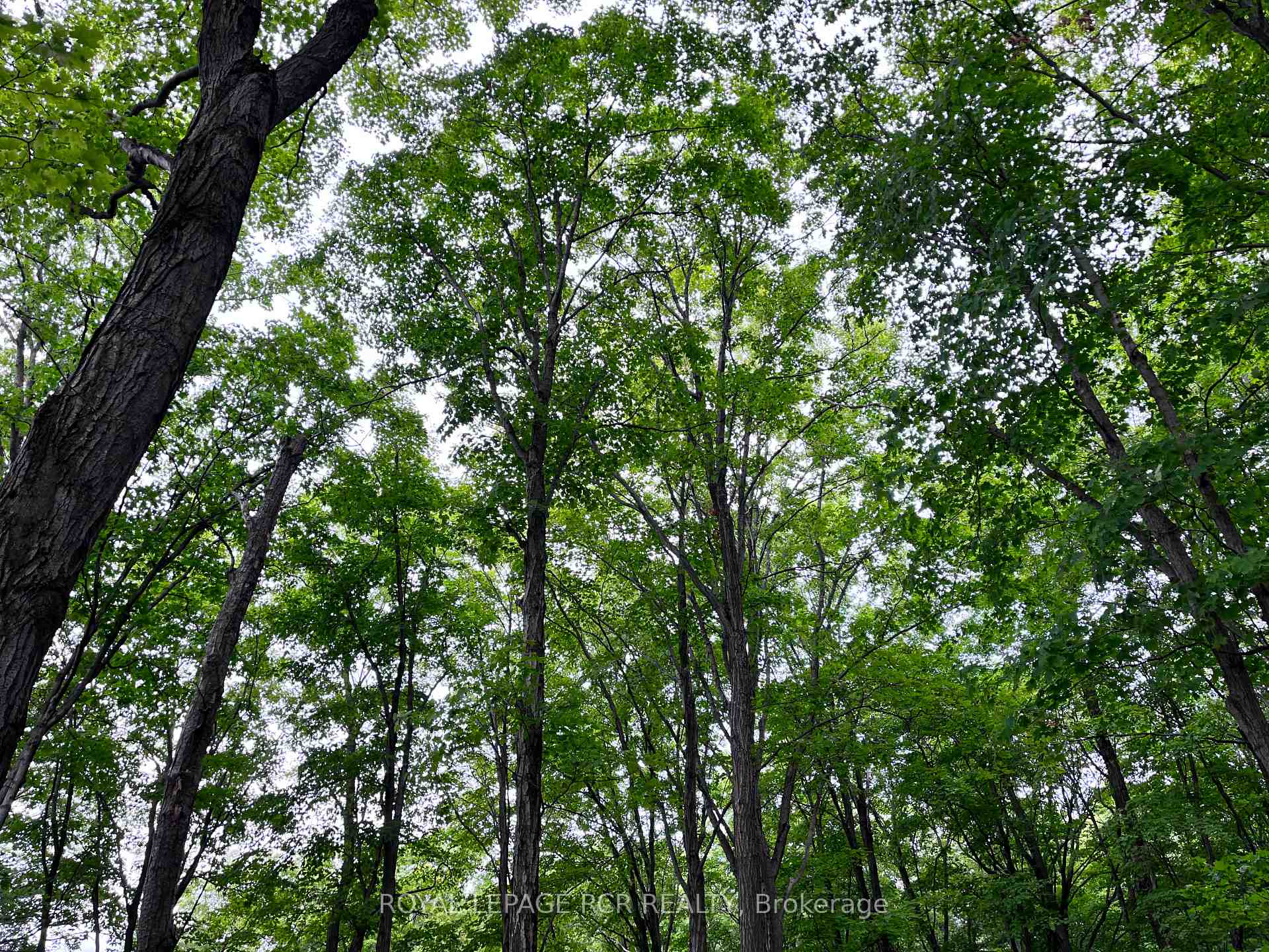 Photo 10 of 3rd Line, Mulmur, Rural Mulmur — HOMEH