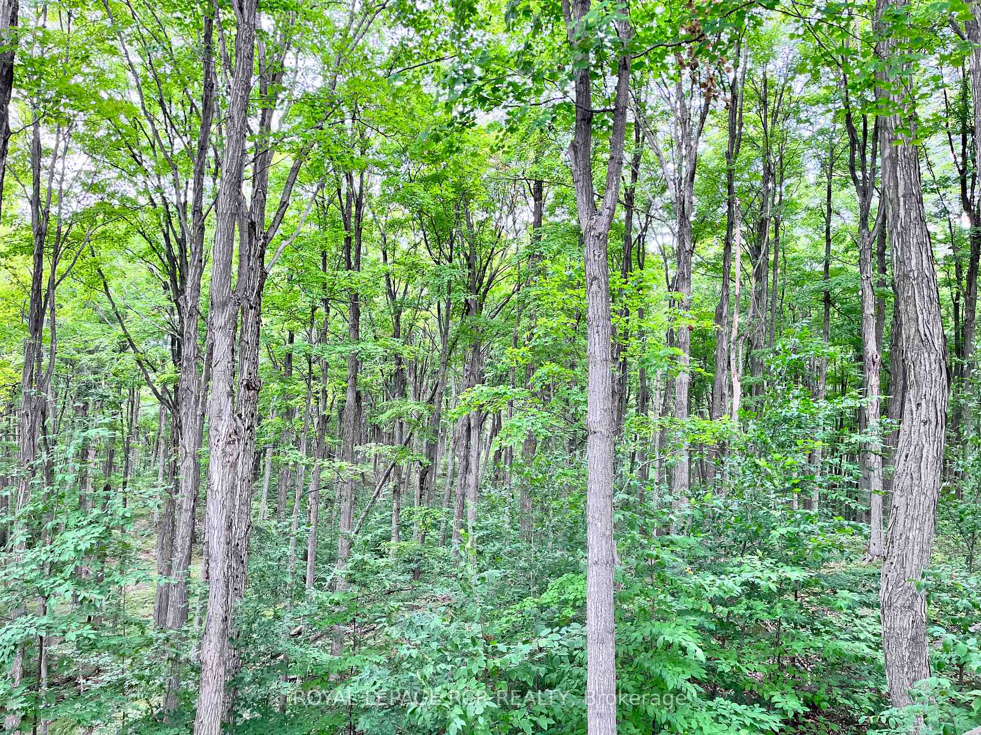 Photo 11 of 3rd Line, Mulmur, Rural Mulmur — HOMEH