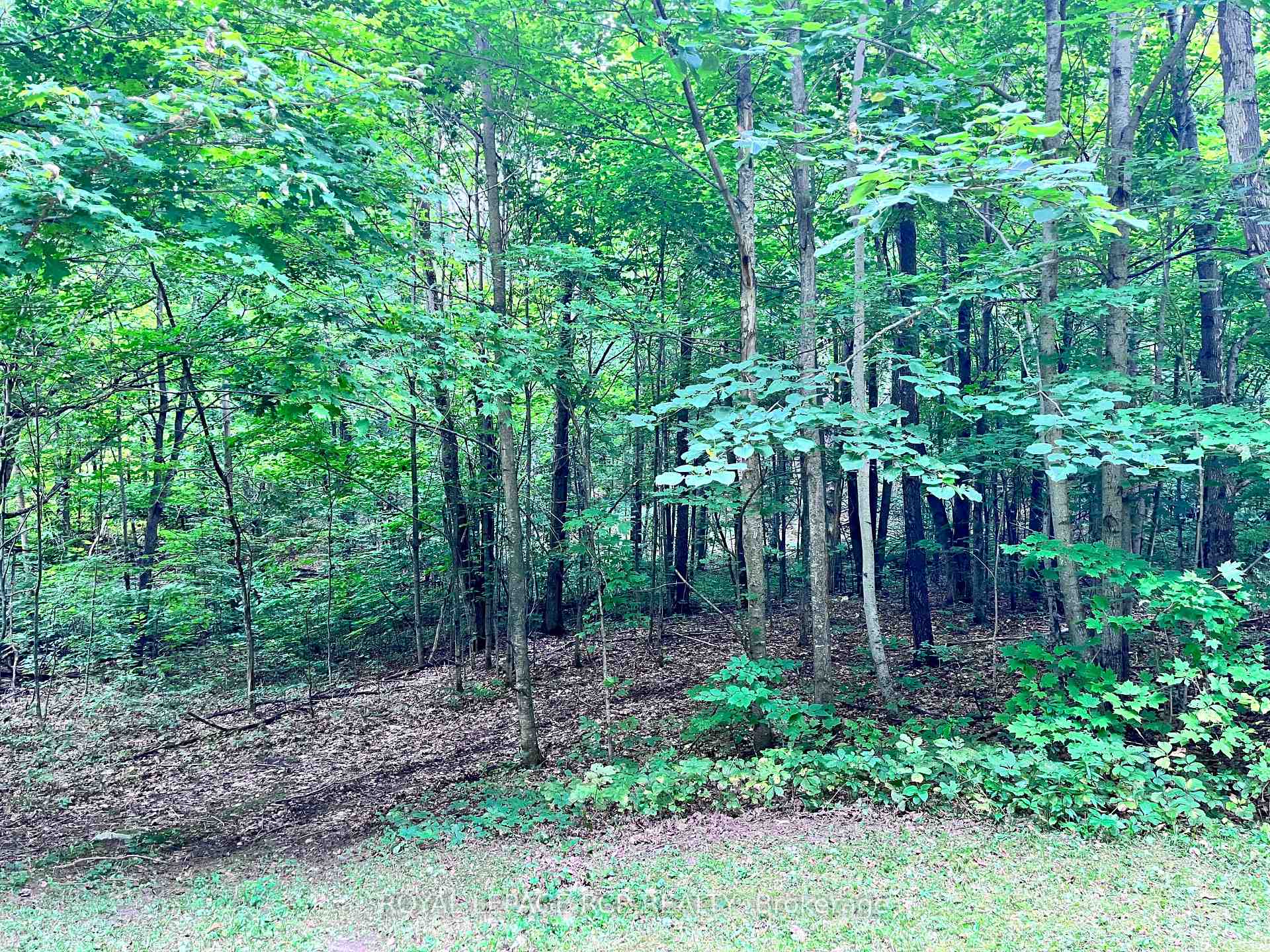 Photo 14 of 3rd Line, Mulmur, Rural Mulmur — HOMEH