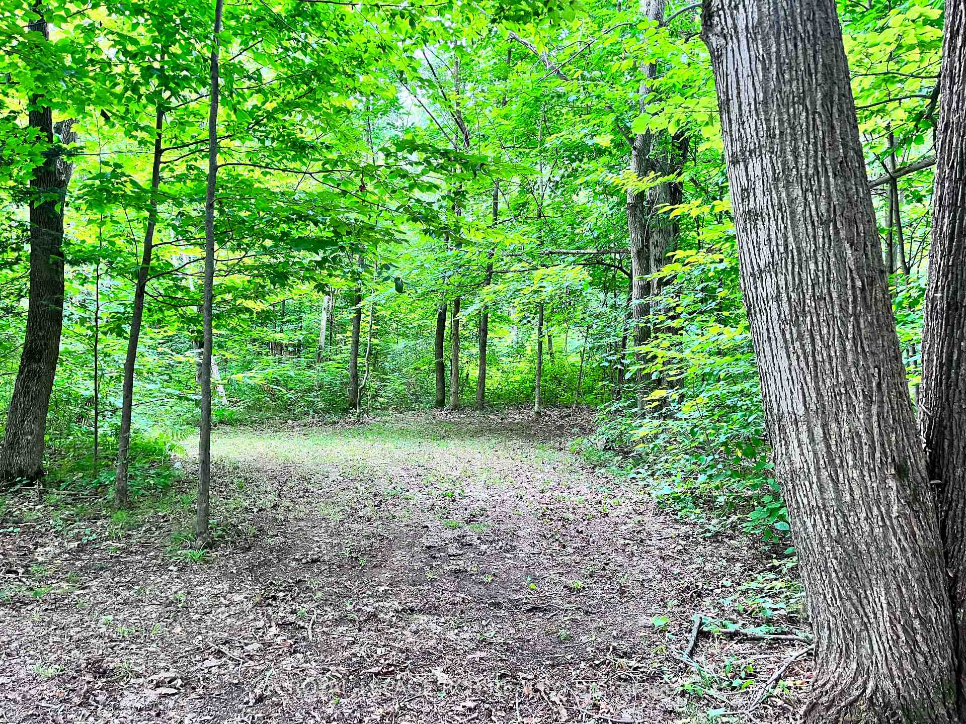 Photo 16 of 3rd Line, Mulmur, Rural Mulmur — HOMEH