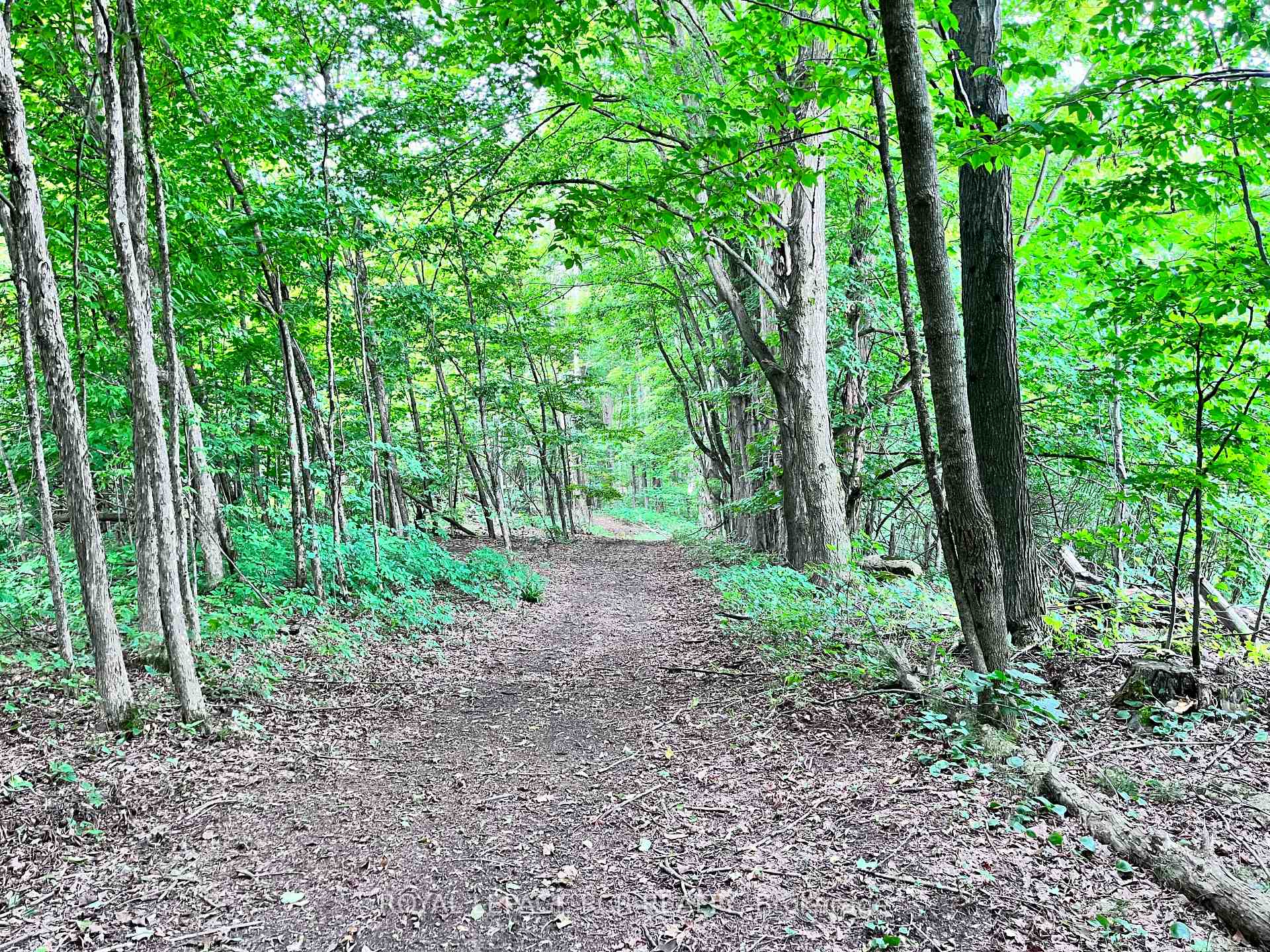 Photo 18 of 3rd Line, Mulmur, Rural Mulmur — HOMEH
