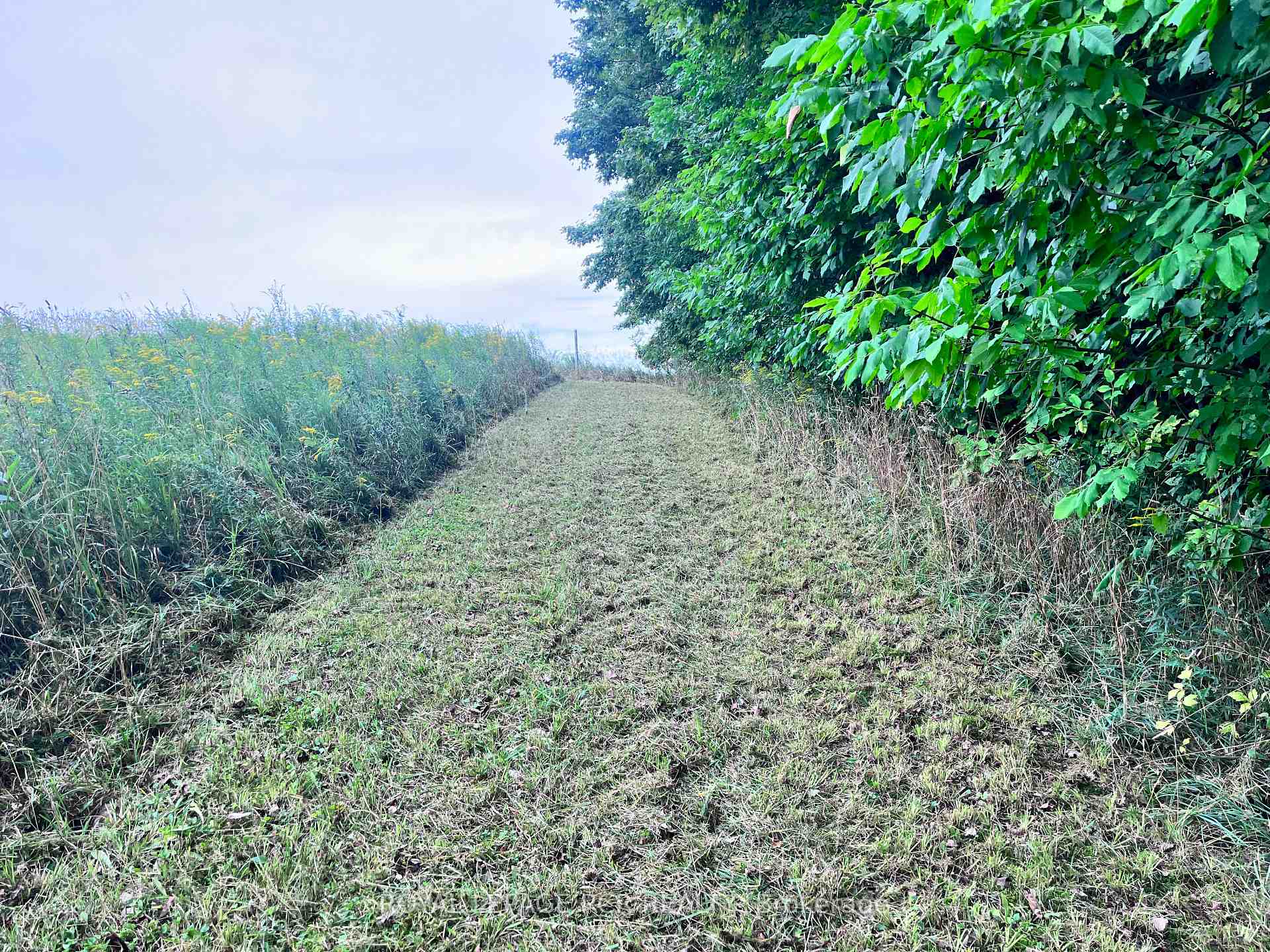Photo 19 of 3rd Line, Mulmur, Rural Mulmur — HOMEH