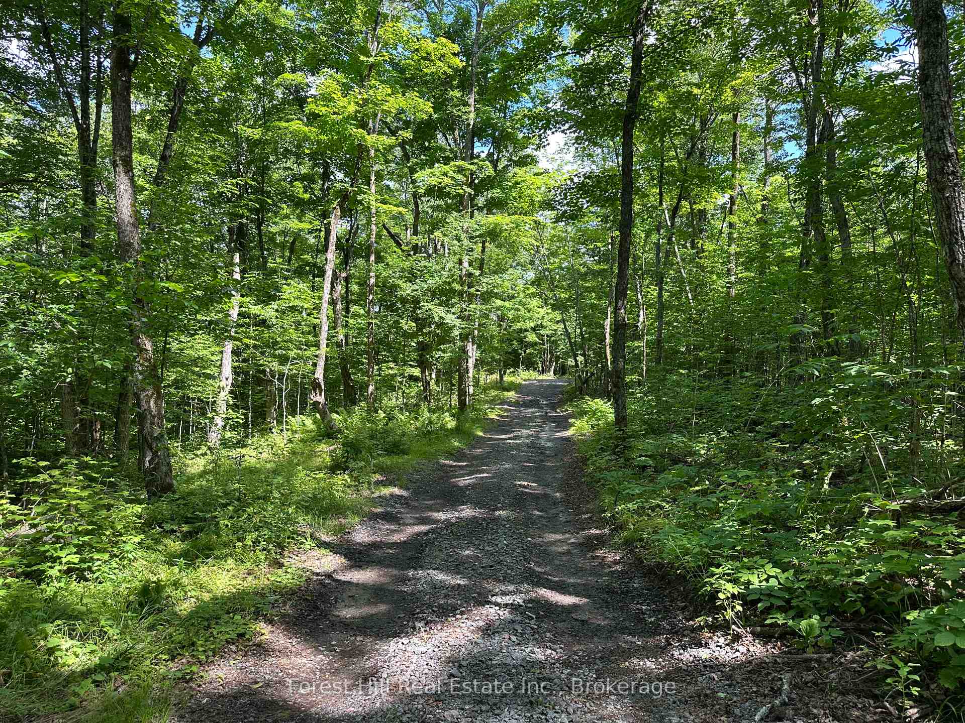 Photo 3 of 0-2 Jacks Lake, Parry Sound Remote Area, Golden Valley — HOMEH