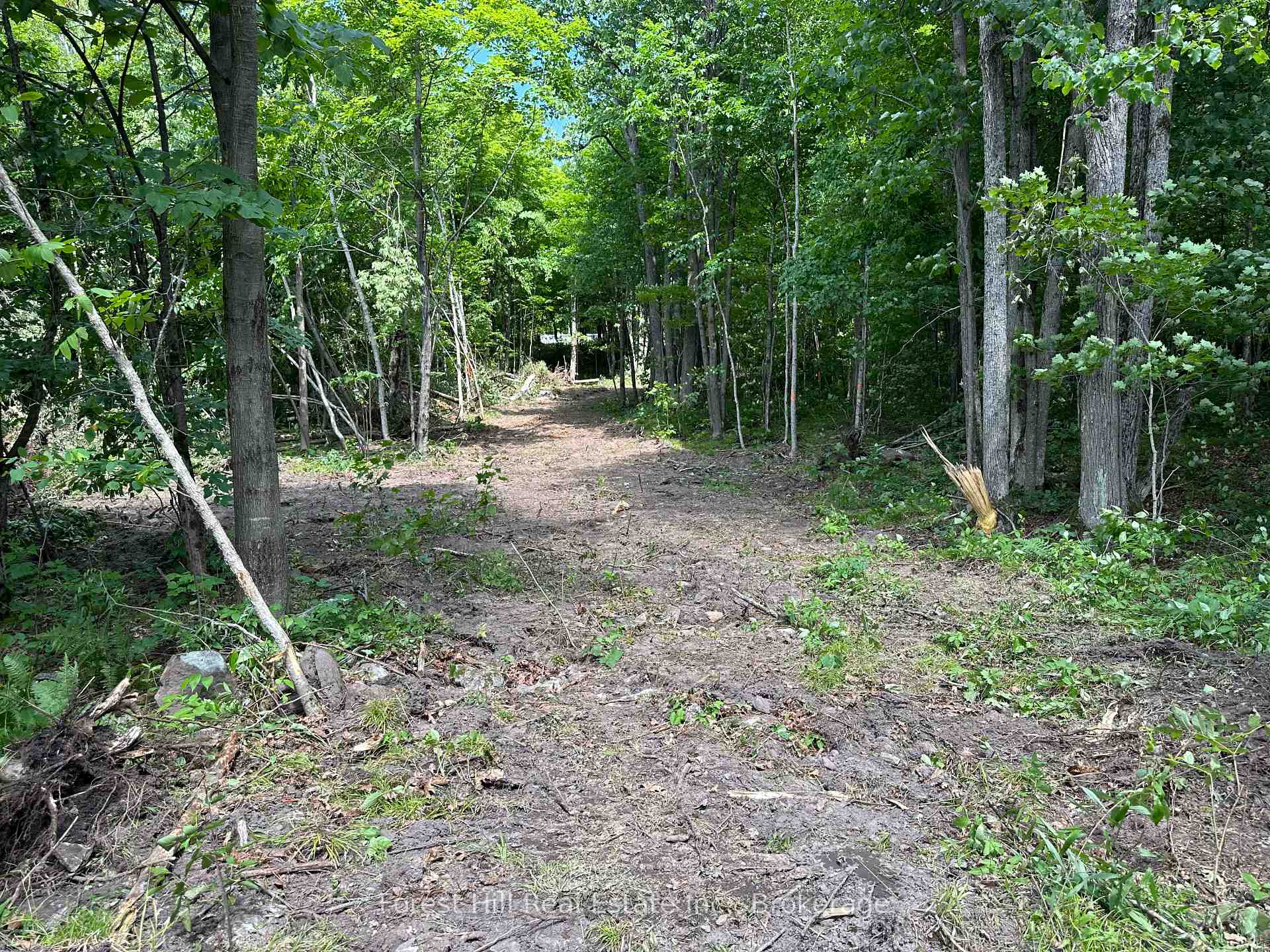 Photo 5 of 0-2 Jacks Lake, Parry Sound Remote Area, Golden Valley — HOMEH