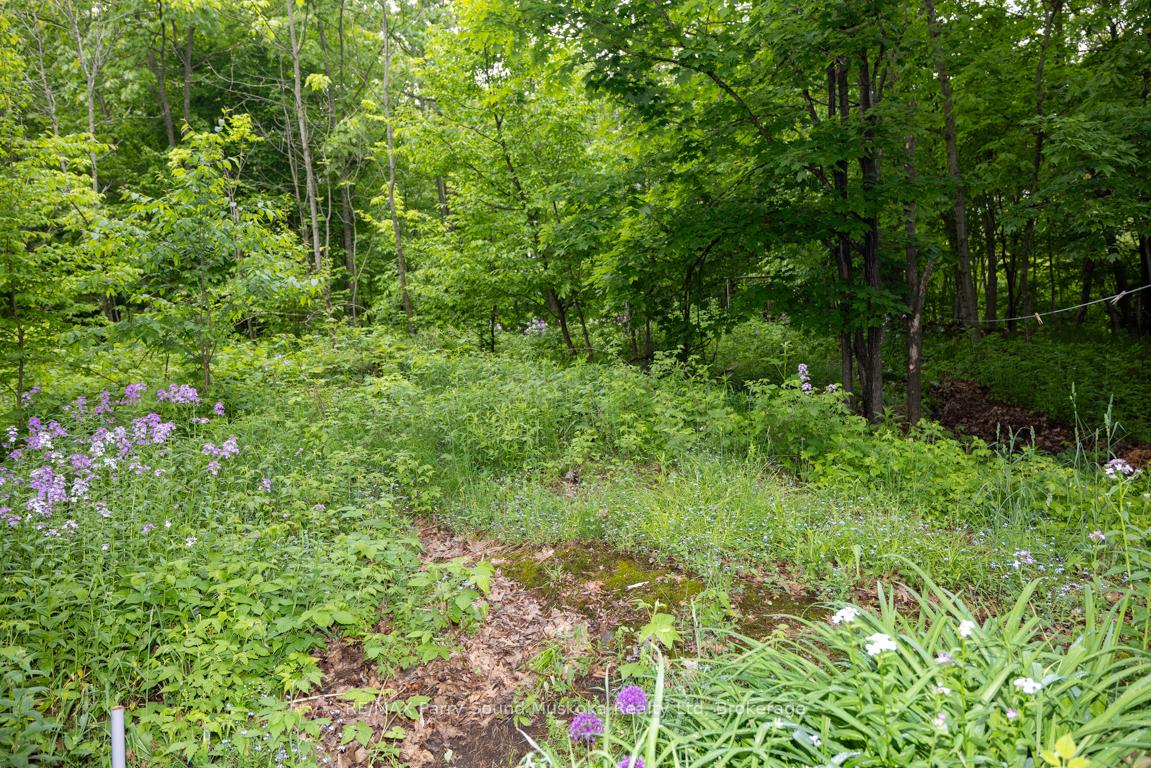 Photo 41 of 19 Macklaim Drive, Parry Sound — HOMEH