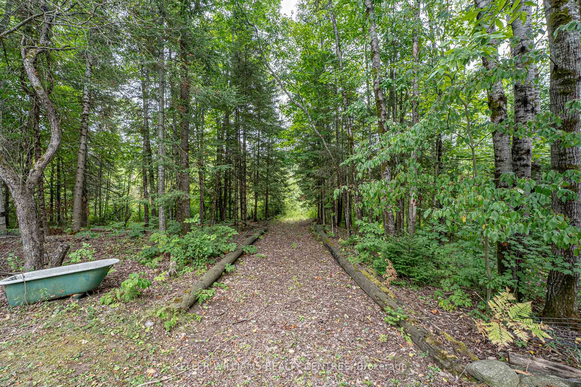 Photo 22 of 3443 County Rd 620, North Kawartha — HOMEH