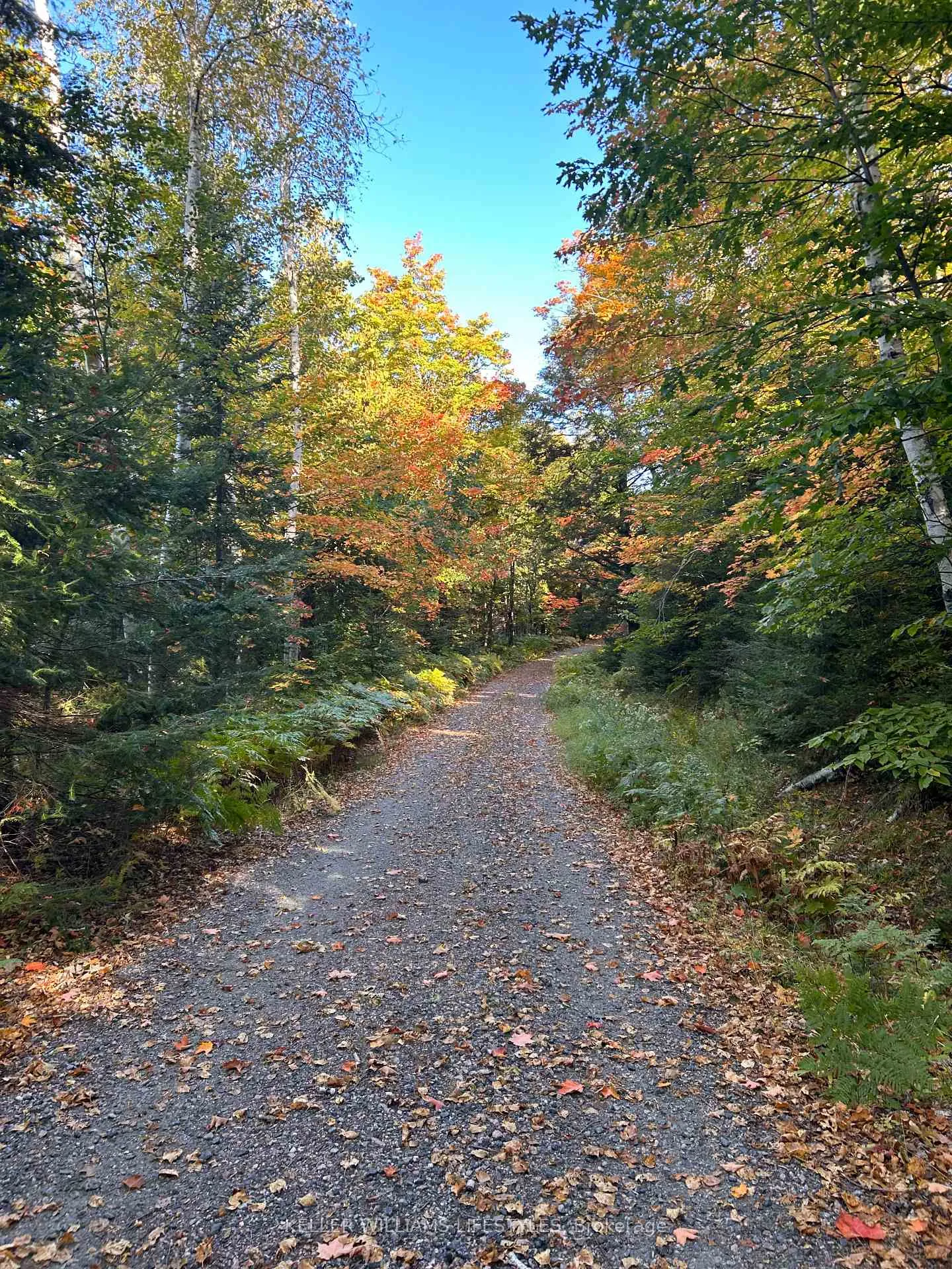 Photo 4 of Balsam Lane, Nipissing — HOMEH