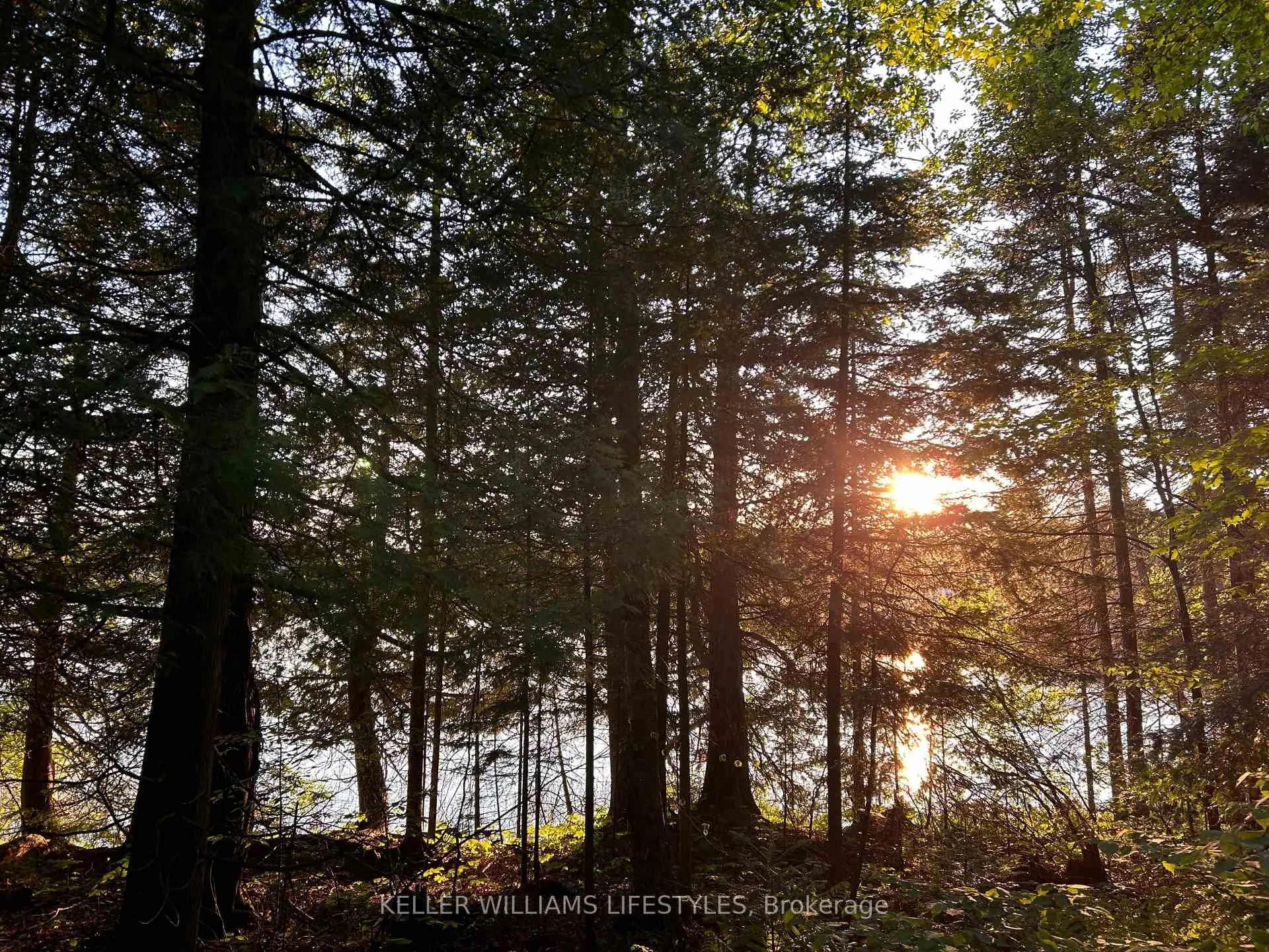 Photo 5 of Balsam Lane, Nipissing — HOMEH