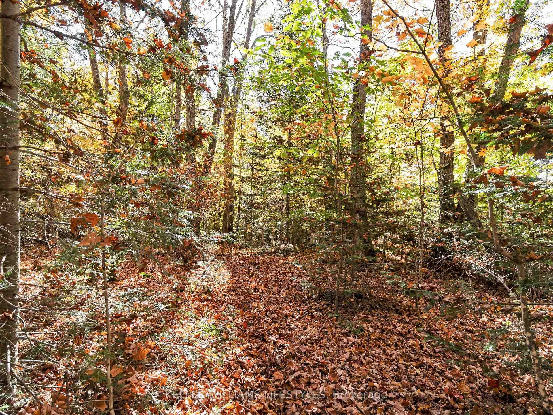 Photo 18 of Balsam Lane, Nipissing — HOMEH