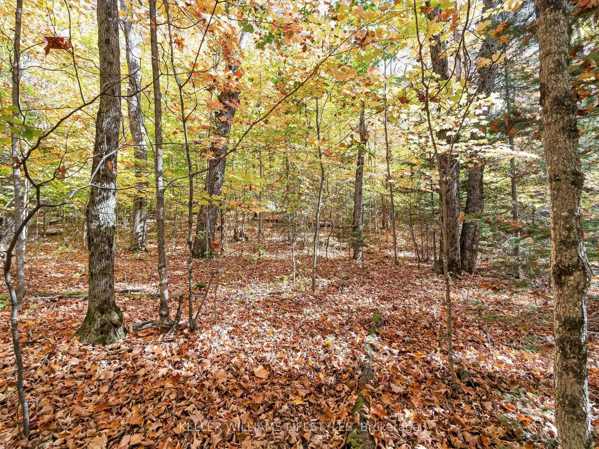 Photo 19 of Balsam Lane, Nipissing — HOMEH