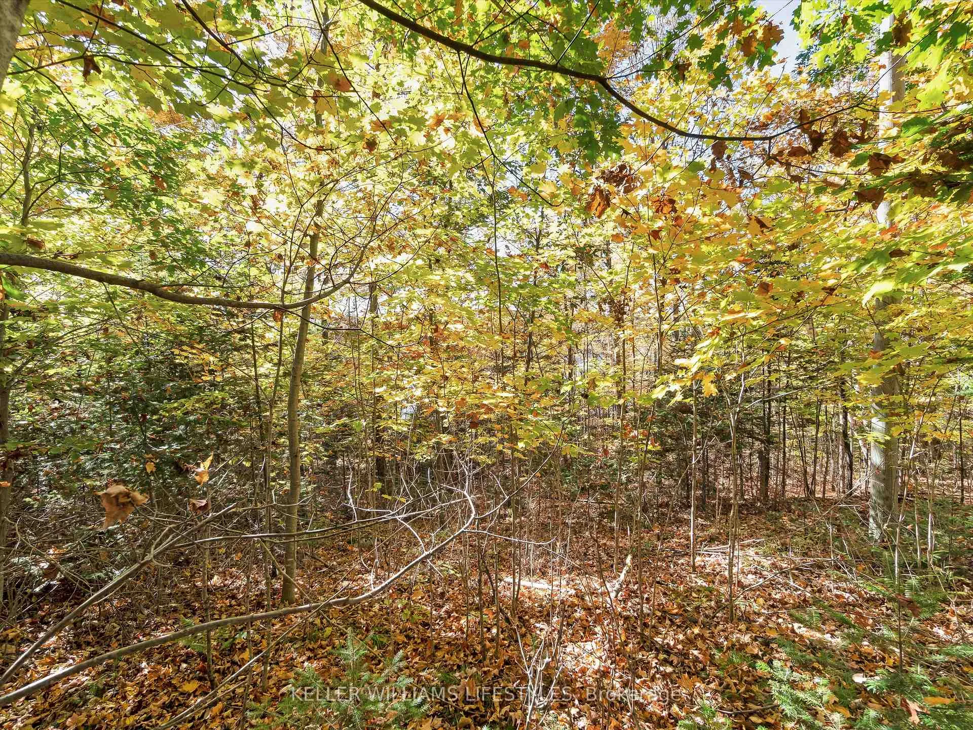 Photo 20 of Balsam Lane, Nipissing — HOMEH