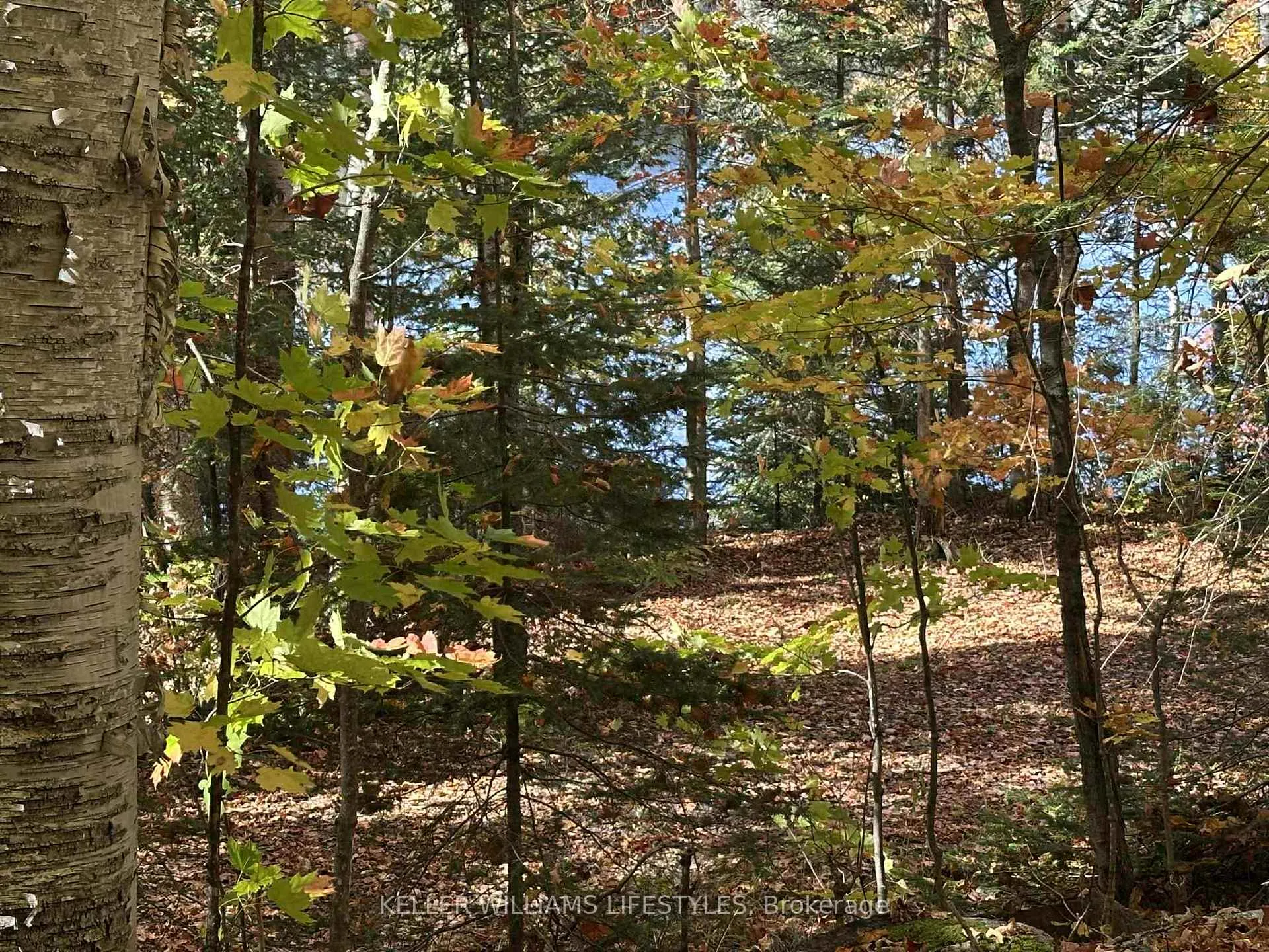 Photo 22 of Balsam Lane, Nipissing — HOMEH