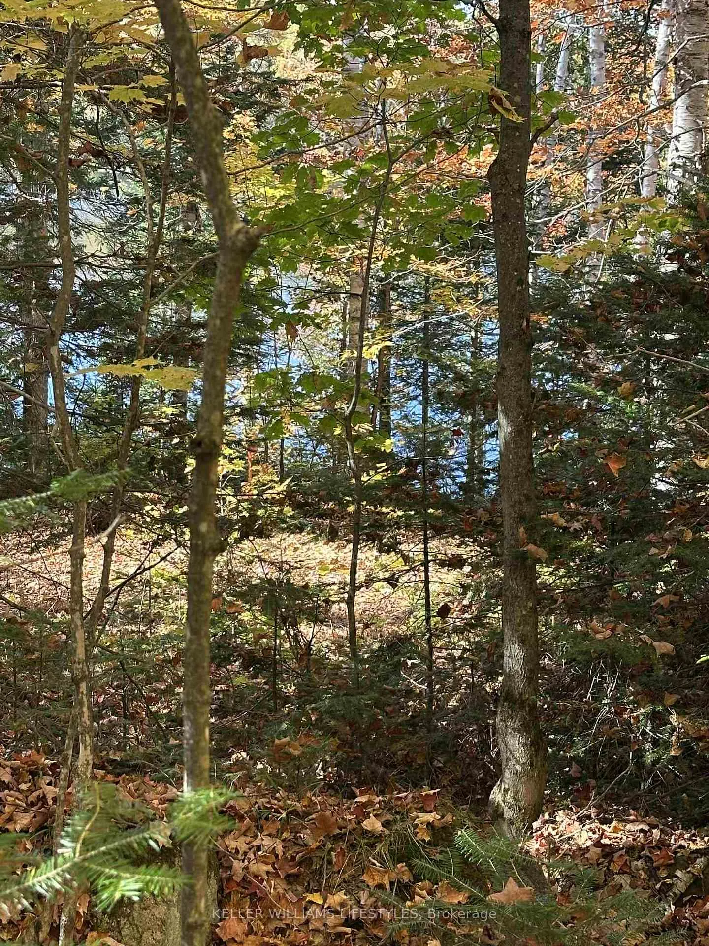 Photo 23 of Balsam Lane, Nipissing — HOMEH