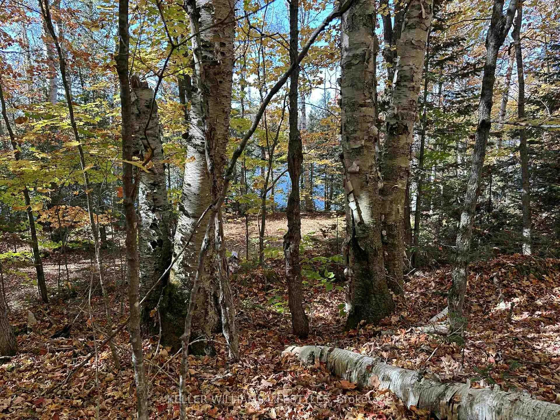 Photo 24 of Balsam Lane, Nipissing — HOMEH