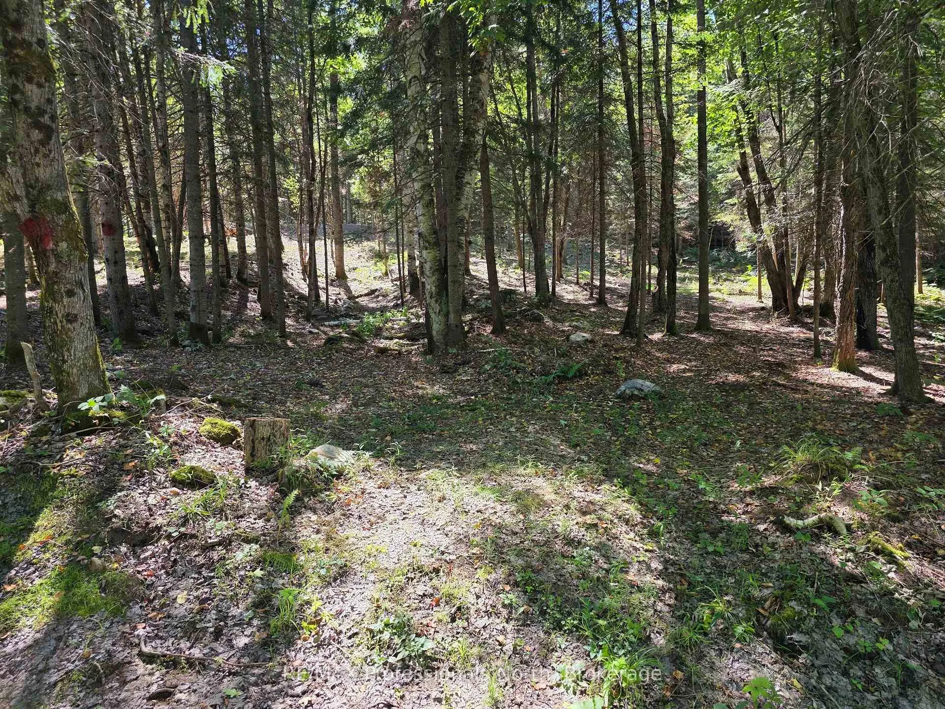 Photo 2 of 00 Whitney Road, Perry — HOMEH