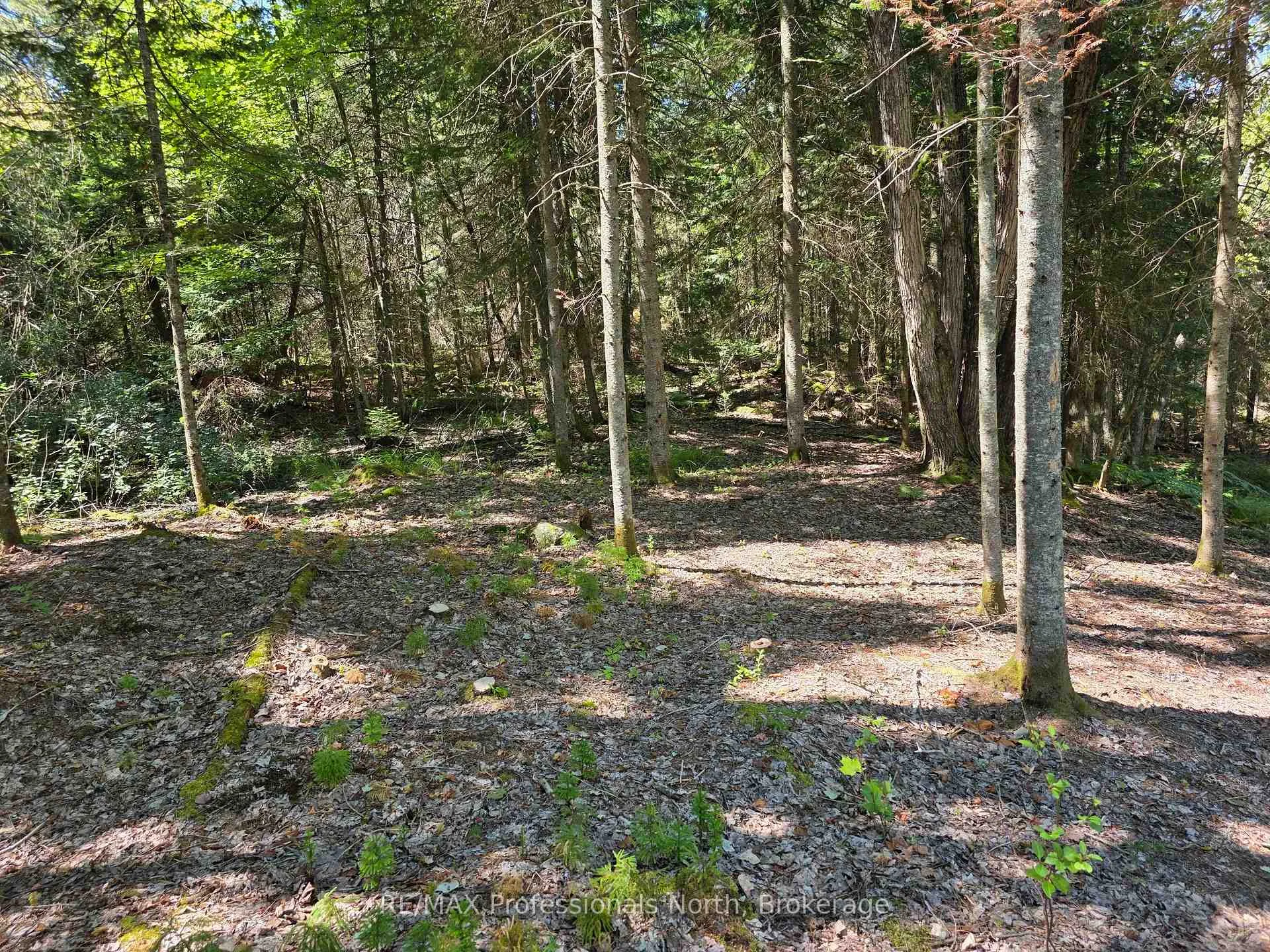 Photo 10 of 00 Whitney Road, Perry — HOMEH