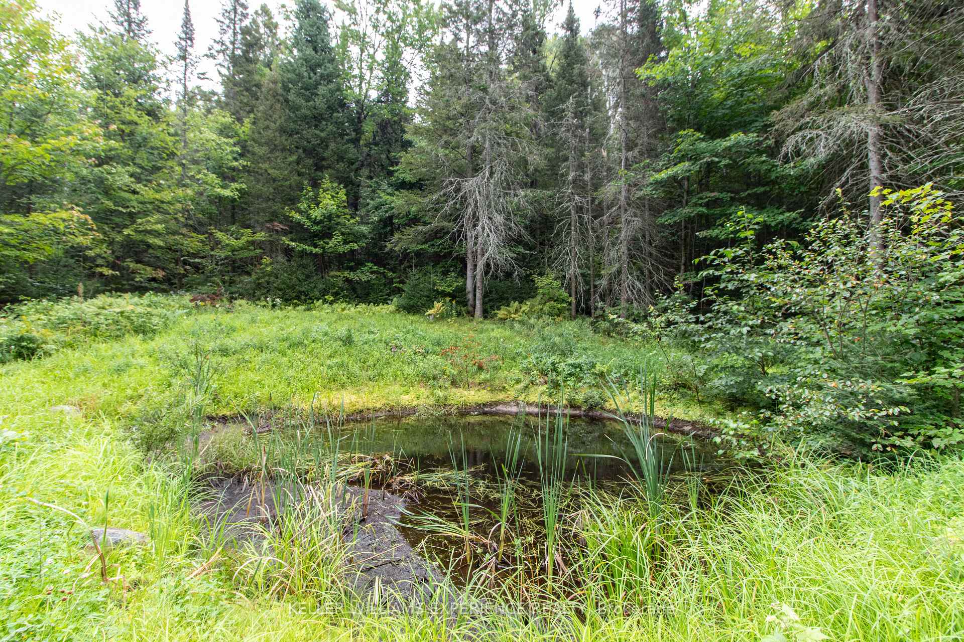 Photo 3 of 1415 Long Lake Road, Perry, Novar — HOMEH