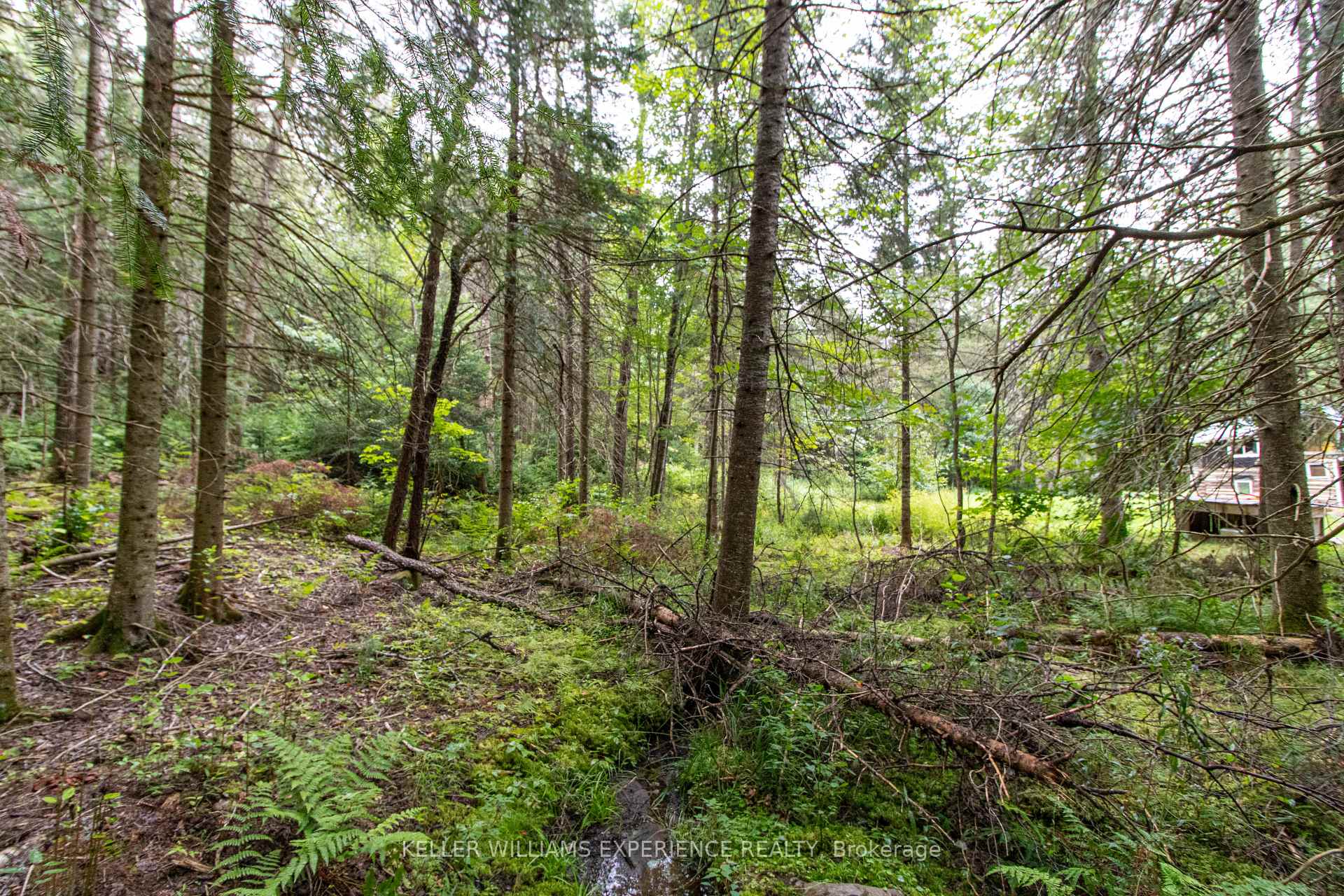 Photo 16 of 1415 Long Lake Road, Perry, Novar — HOMEH