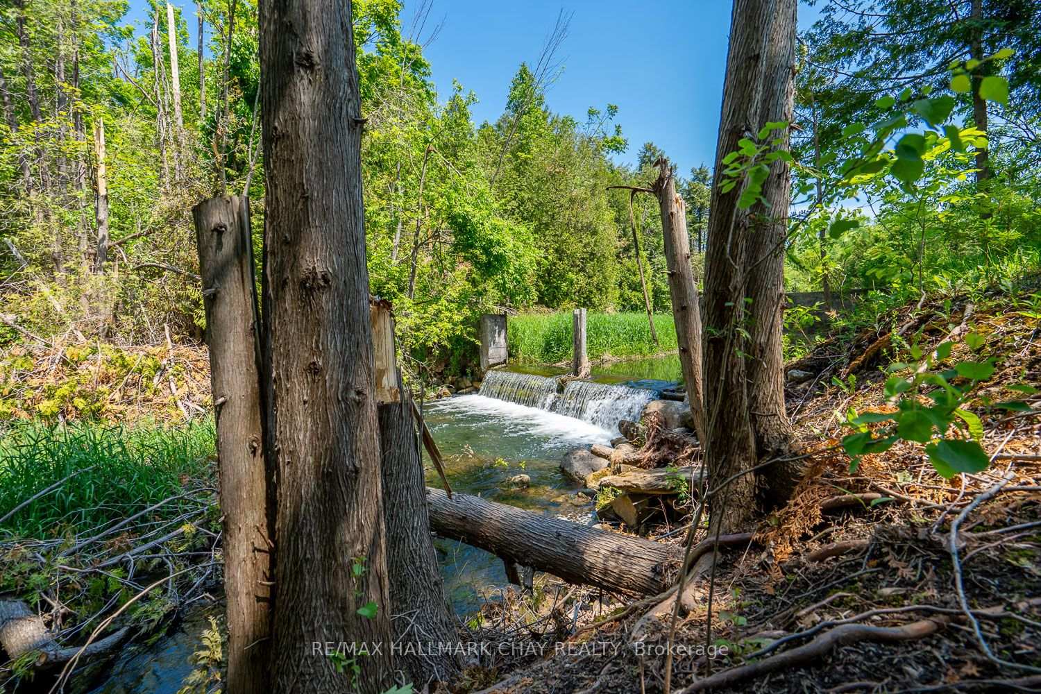Photo 6 of 707063 County Road 21, Mulmur, Rural Mulmur — HOMEH