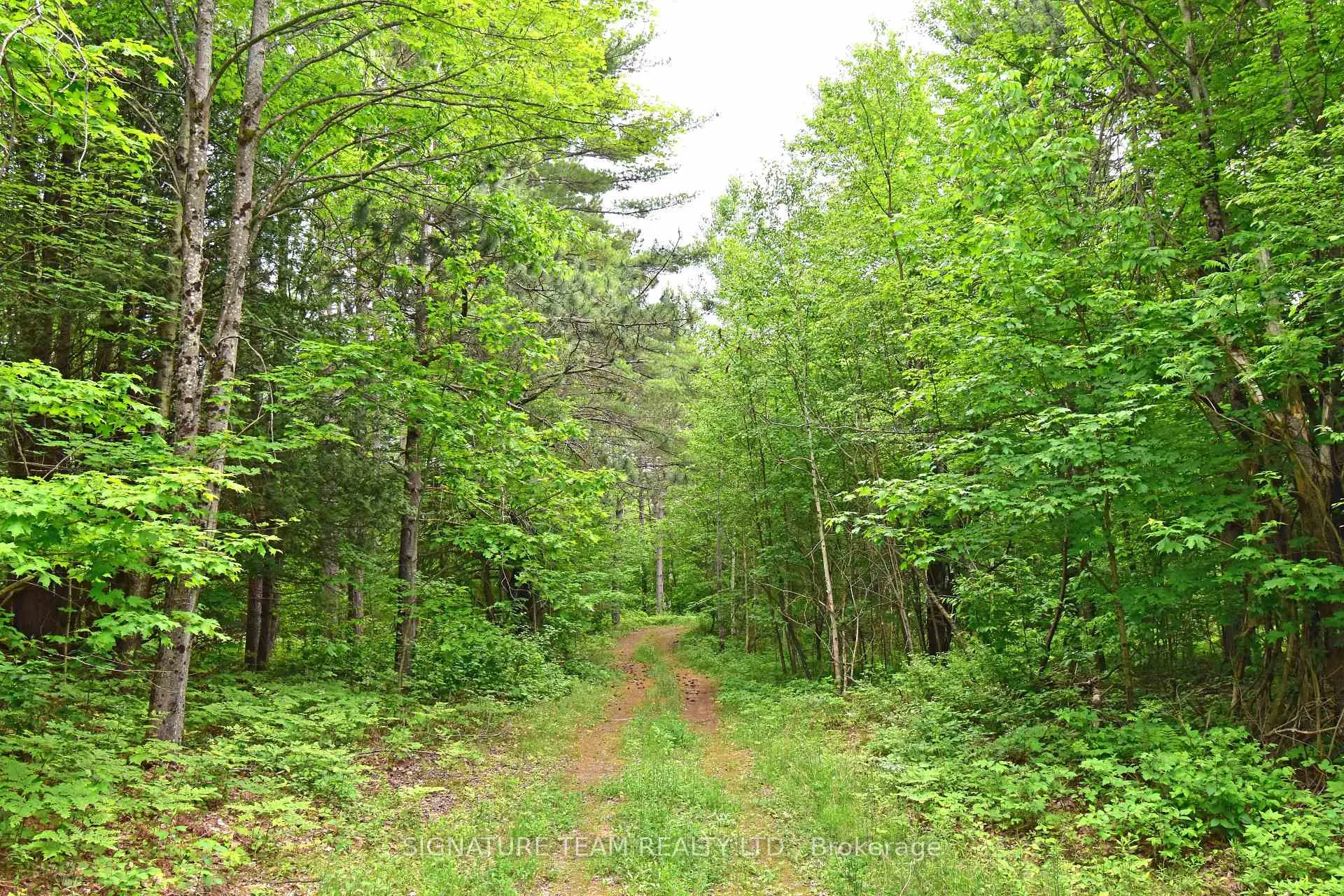 Photo 8 of 455 Passaw Road, North Algona Wilberforce, North Algona/Wilberforce Twp — HOMEH