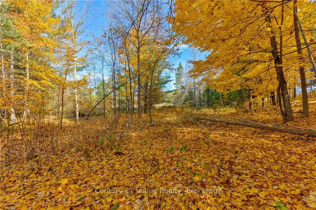 Photo 15 of 330 Island View Drive, North Algona Wilberforce, North Algona/Wilberforce Twp — HOMEH
