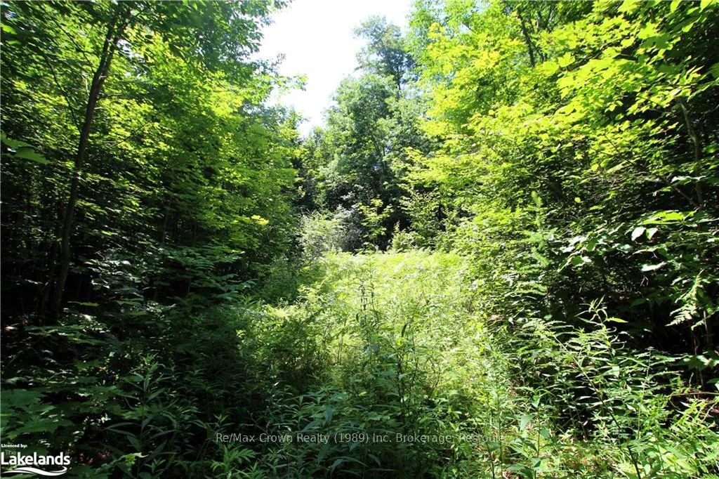 Photo 1 of 0A 20TH Side Rd, Parry Sound Remote Area, McConkey — HOMEH