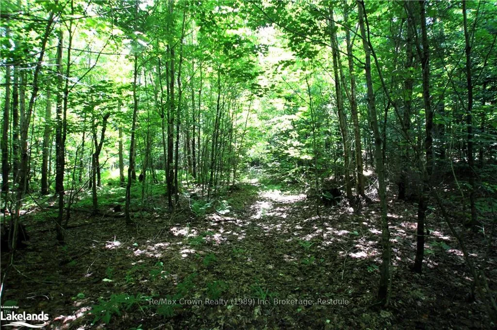 Photo 2 of 0A 20TH Side Rd, Parry Sound Remote Area, McConkey — HOMEH