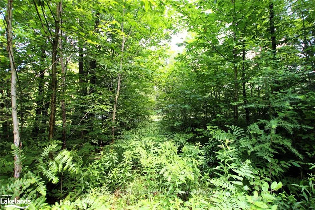 Photo 3 of 0A 20TH Side Rd, Parry Sound Remote Area, McConkey — HOMEH