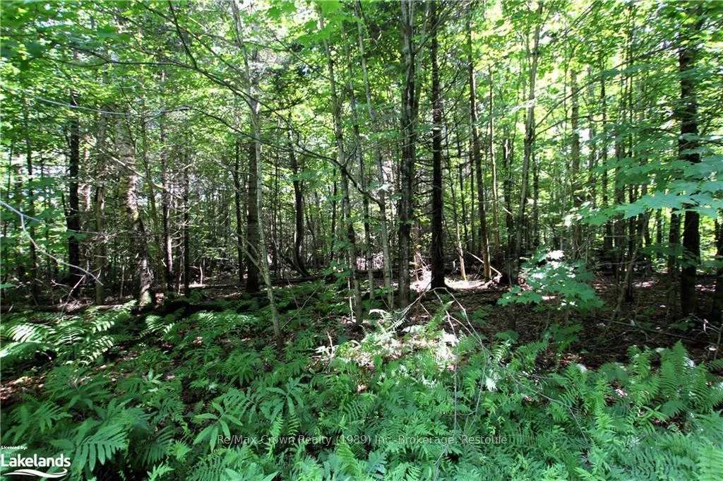 Photo 4 of 0A 20TH Side Rd, Parry Sound Remote Area, McConkey — HOMEH