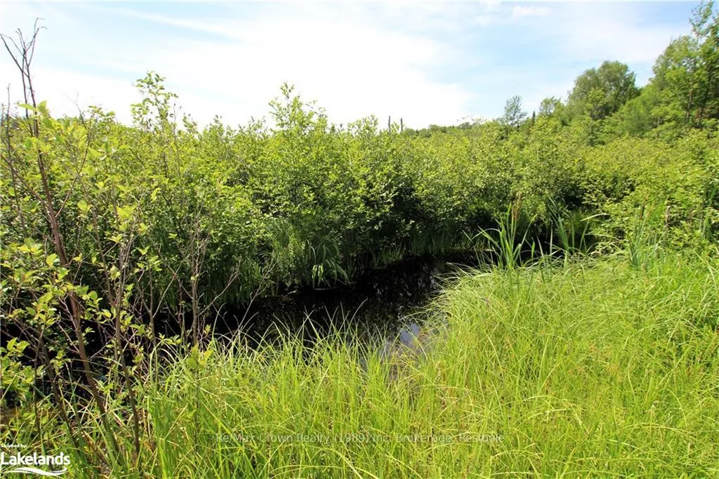 Photo 5 of 0A 20TH Side Rd, Parry Sound Remote Area, McConkey — HOMEH