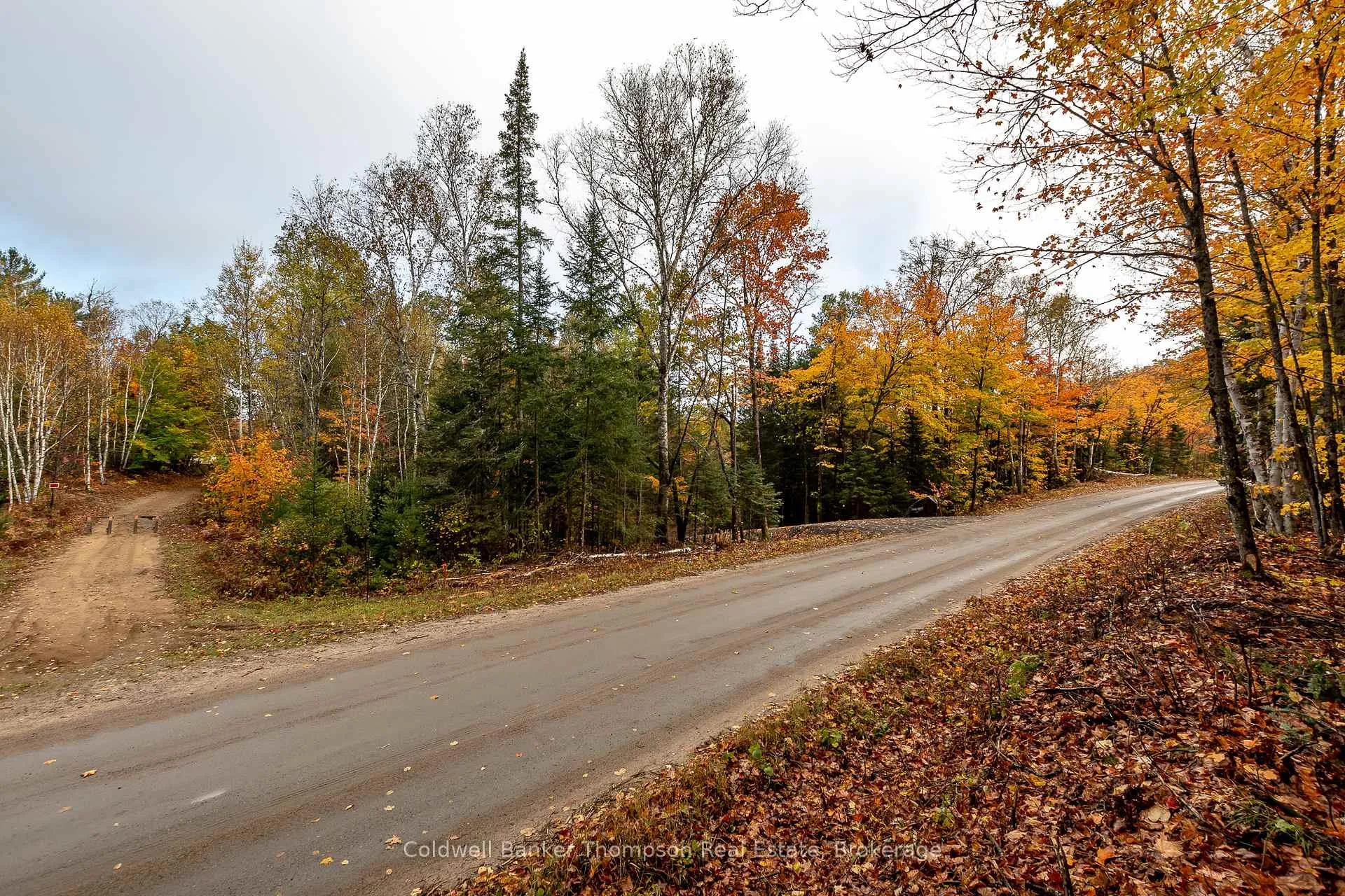 Photo 2 of Lot 1 Emsdale Lake Road, Perry — HOMEH