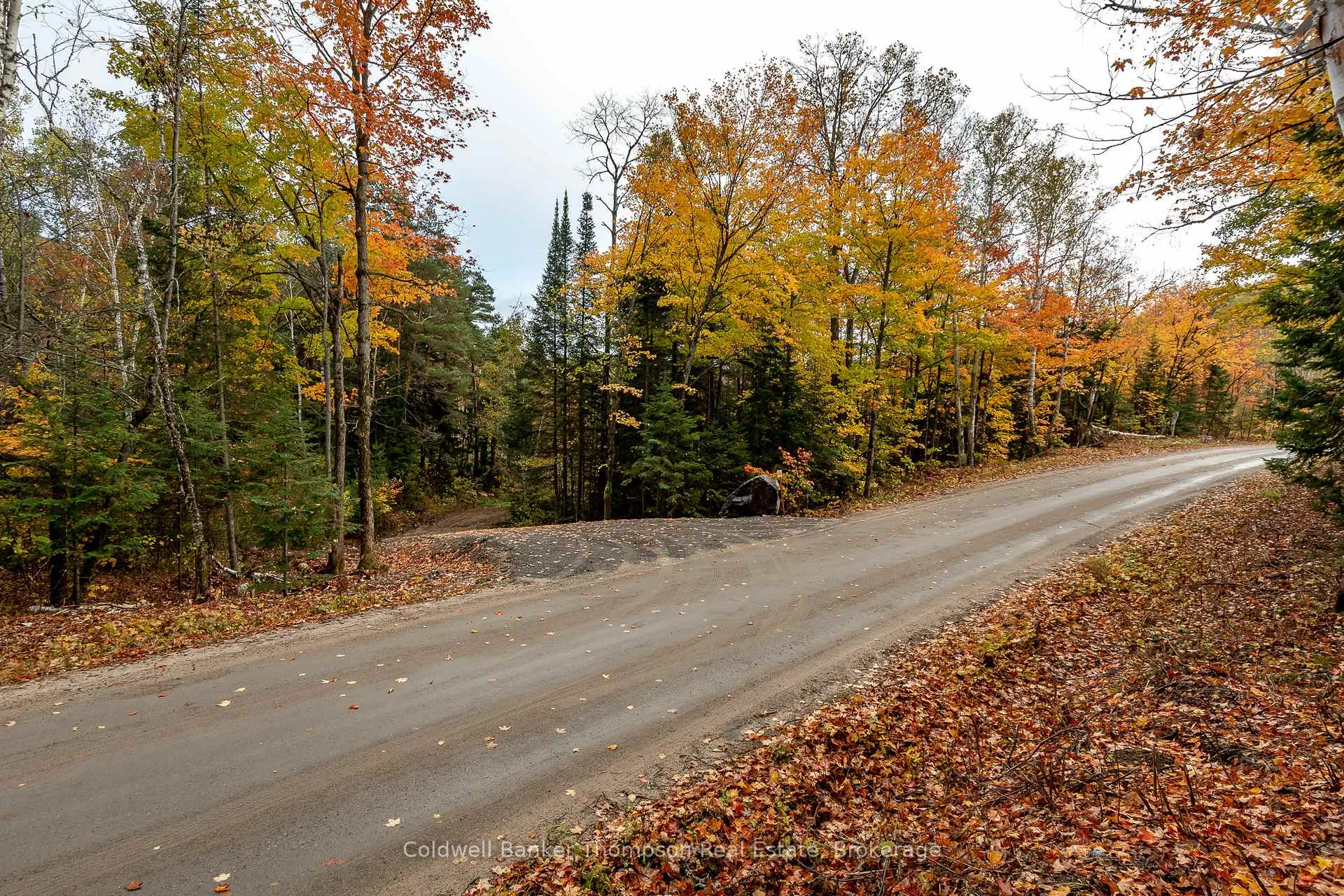 Photo 3 of Lot 1 Emsdale Lake Road, Perry — HOMEH