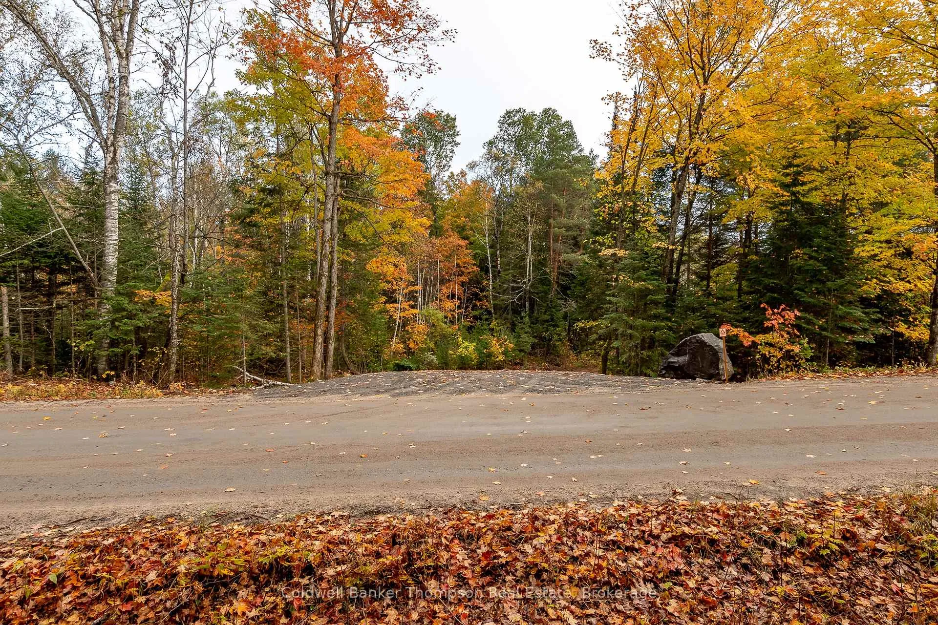 Photo 4 of Lot 1 Emsdale Lake Road, Perry — HOMEH