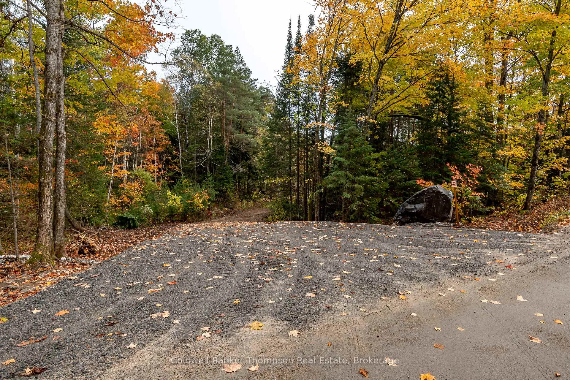Photo 5 of Lot 1 Emsdale Lake Road, Perry — HOMEH