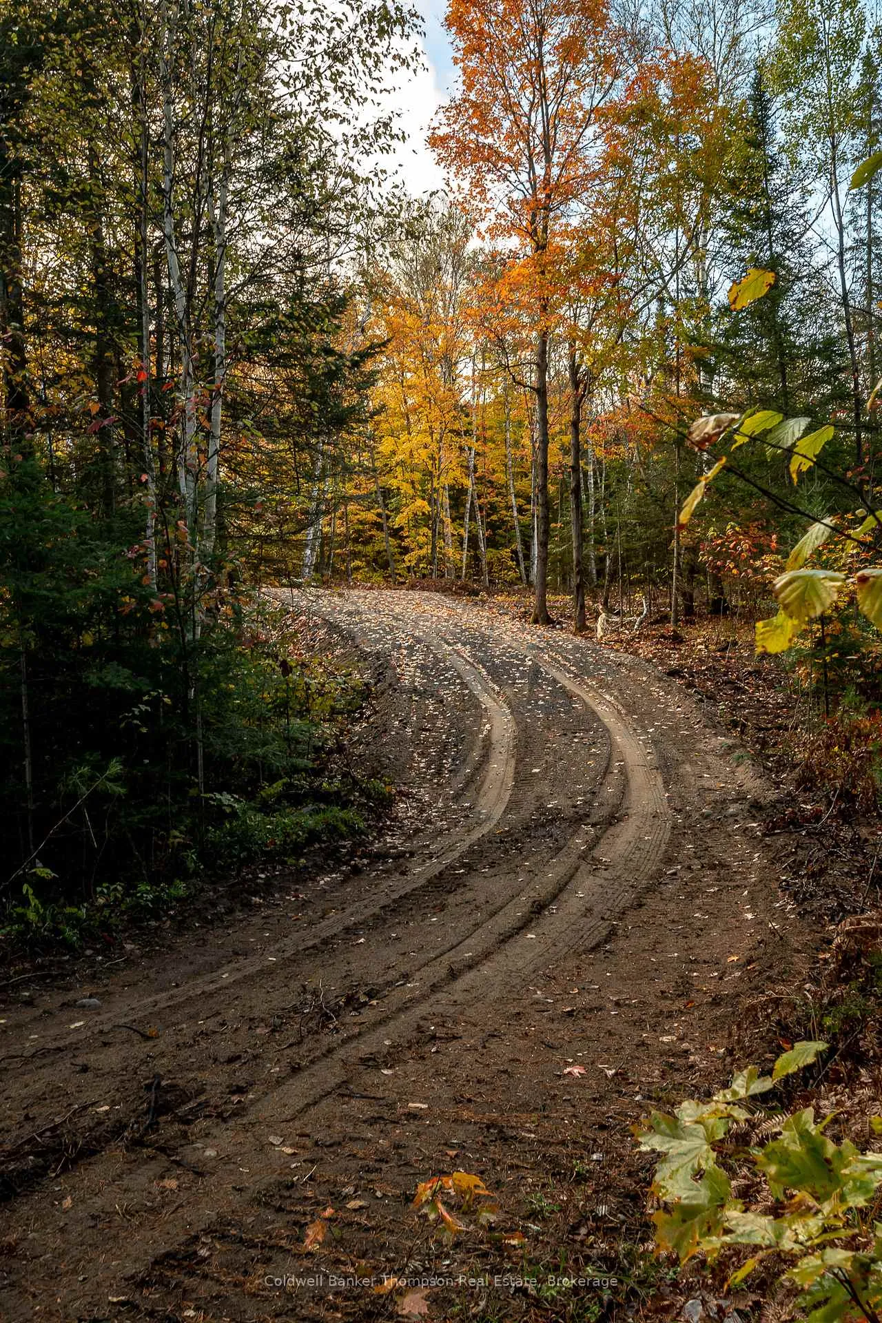 Photo 6 of Lot 1 Emsdale Lake Road, Perry — HOMEH