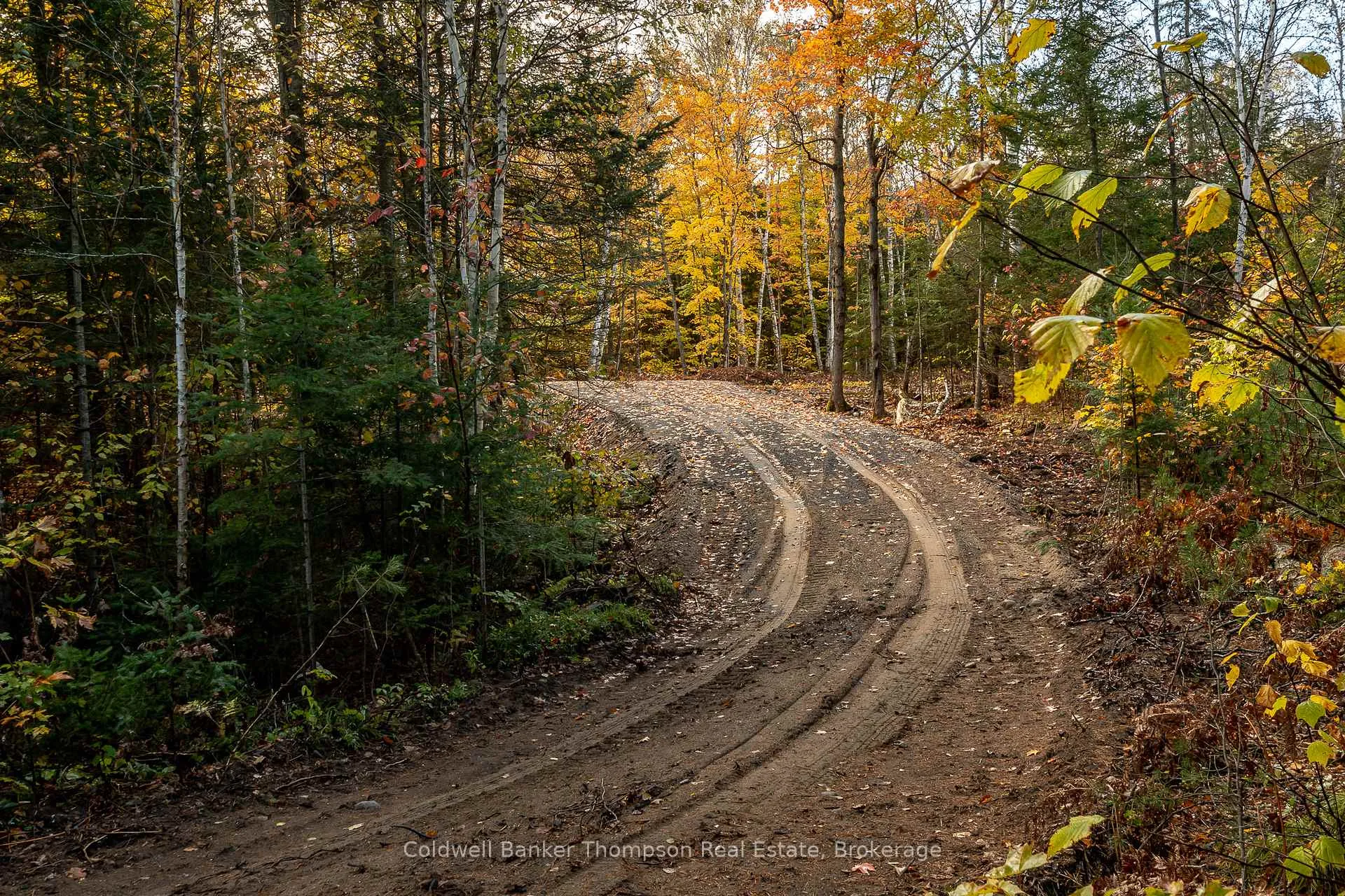 Photo 7 of Lot 1 Emsdale Lake Road, Perry — HOMEH
